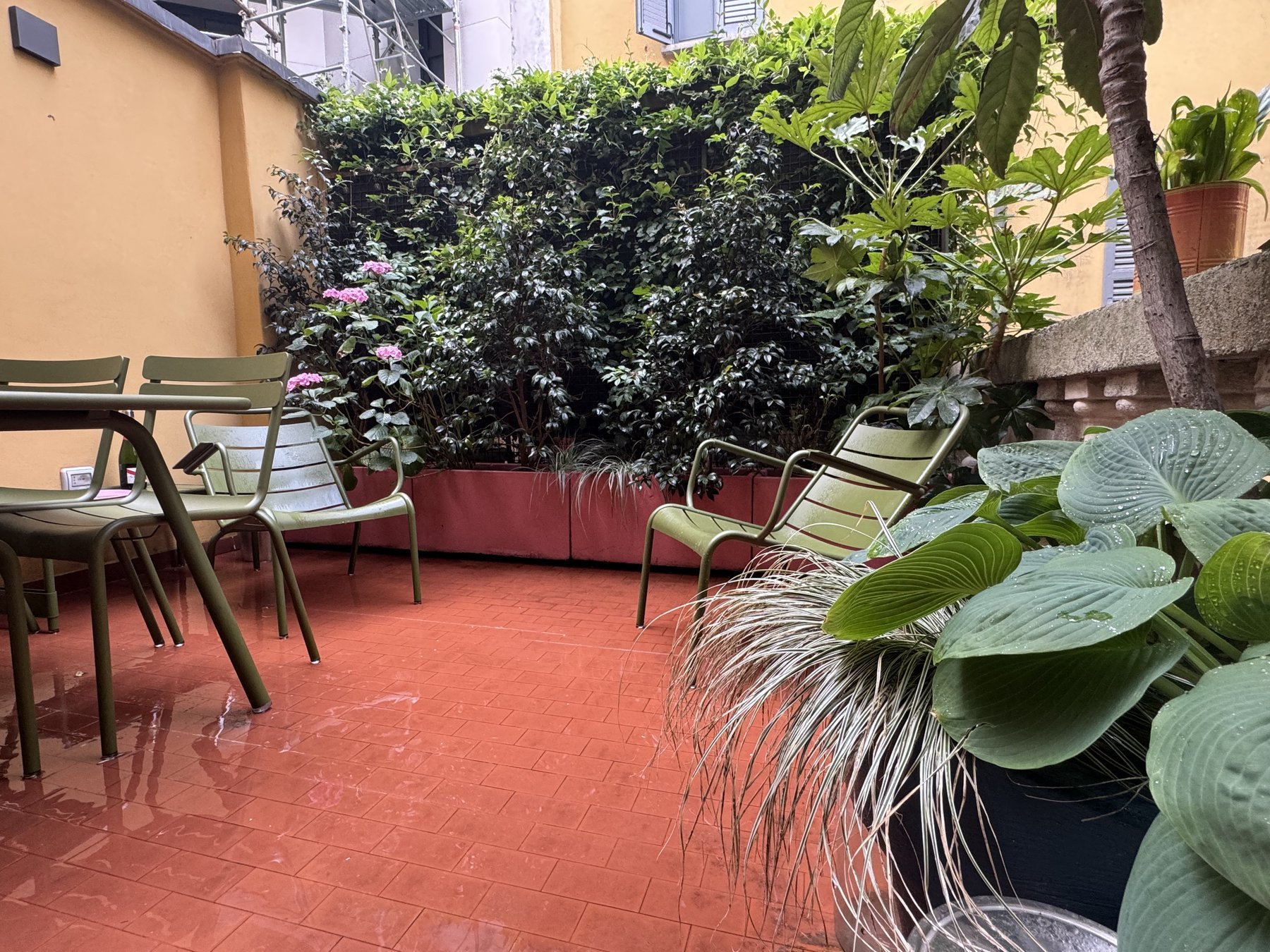 In rosa · Milano, zona Magenta · 2024