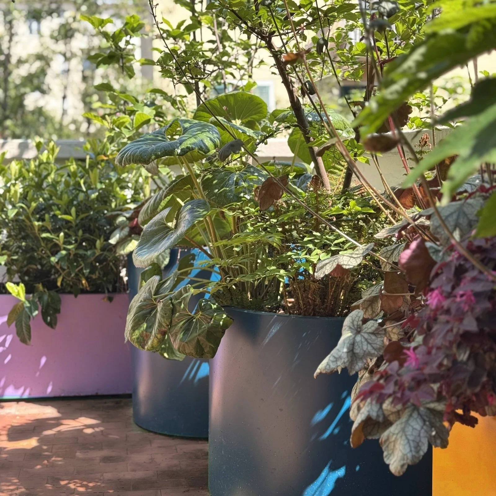 Terrazzo all'ombra in blu, giallo e salvia · Milano, zona Porta Vittoria · 2024