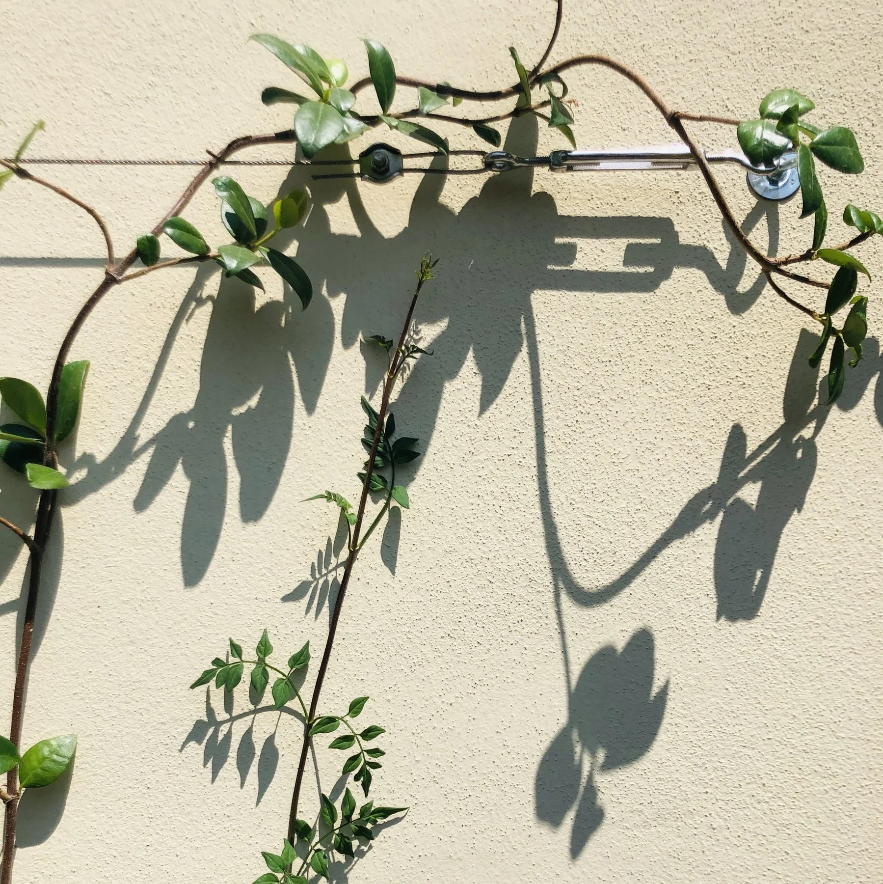 Stretto e al sole · 2018