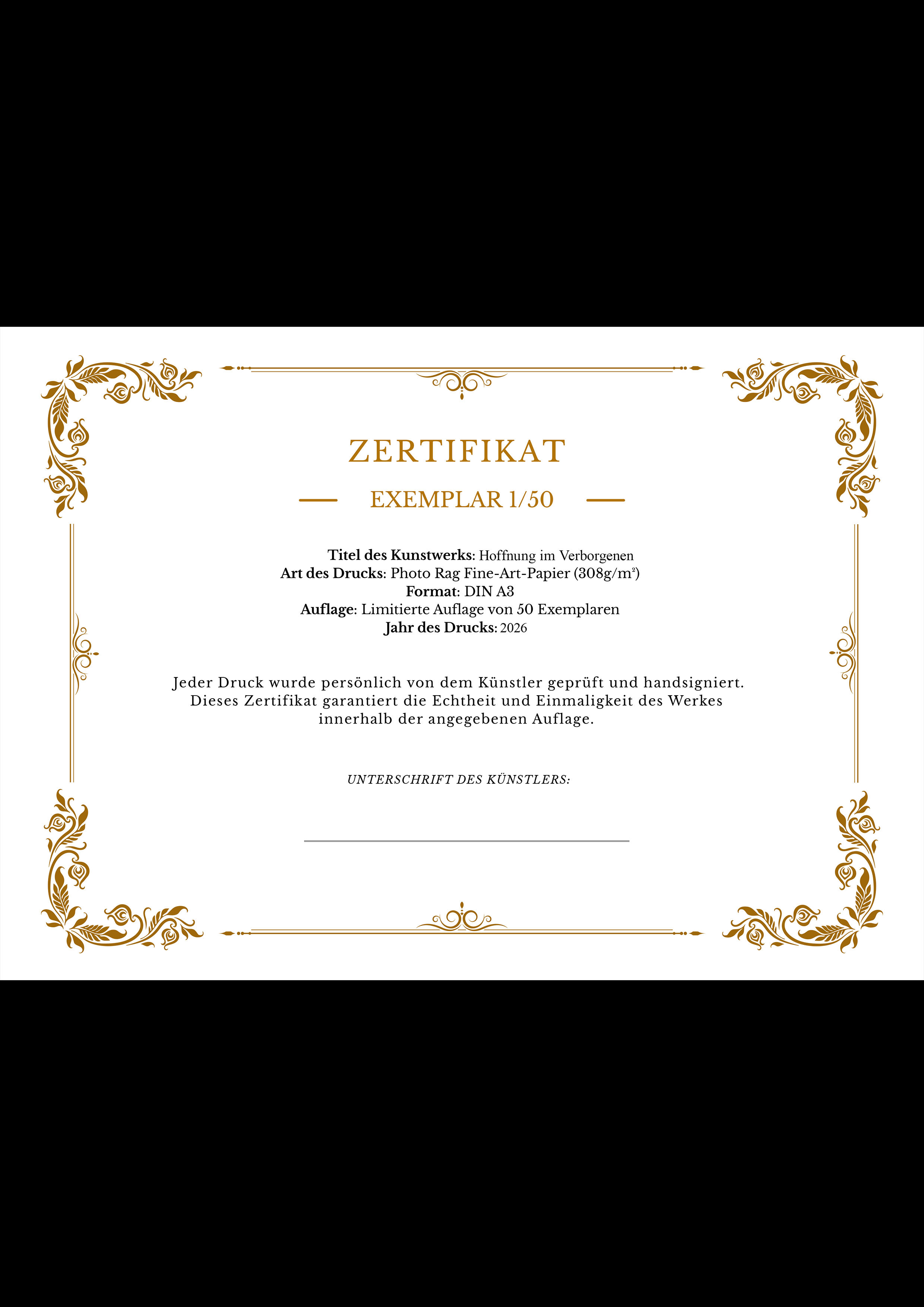 Zertifikat Hoffnung im Verborgenen.png