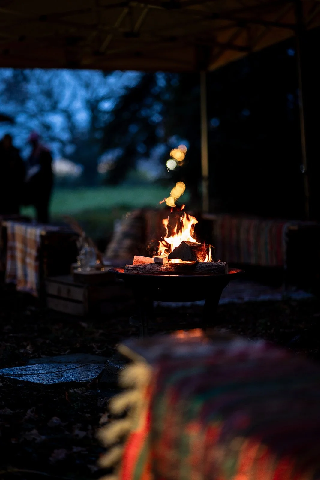 The Wonder Wood-2_websize.jpg