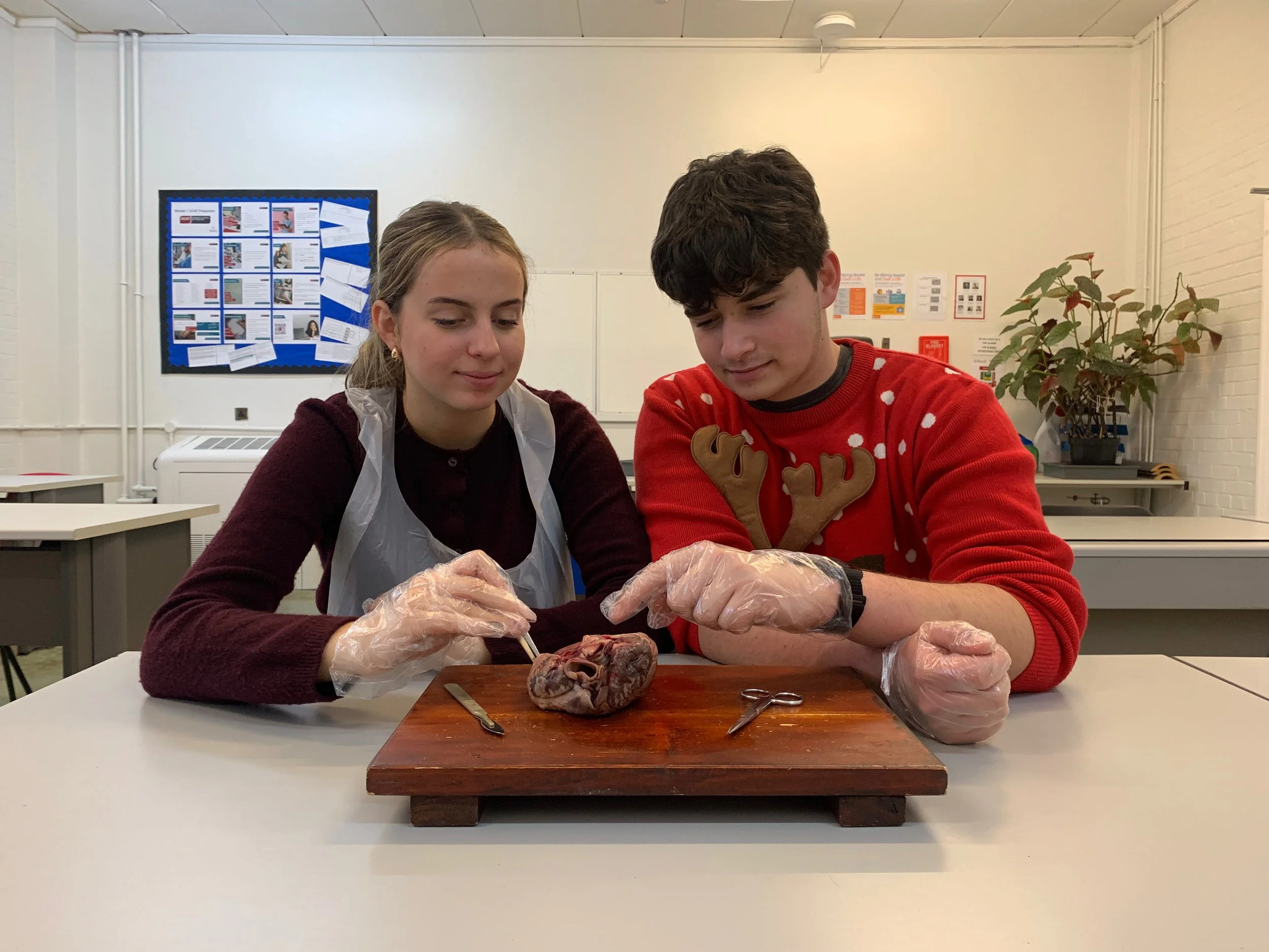 Medstream at Rossall