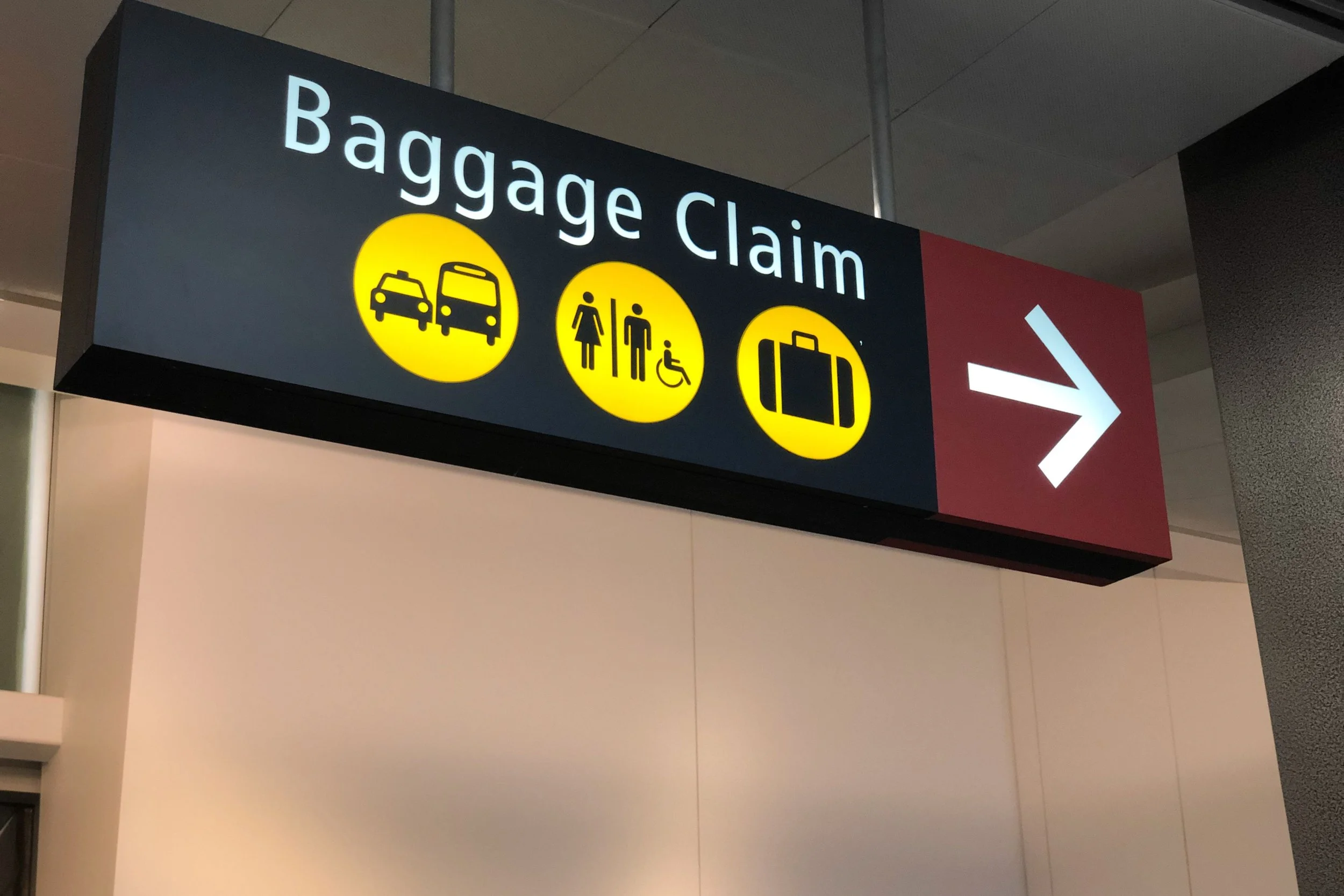 Brain at ‘Baggage Claim’: A Guide to Beating the Post-Holiday Forgetting Curve!