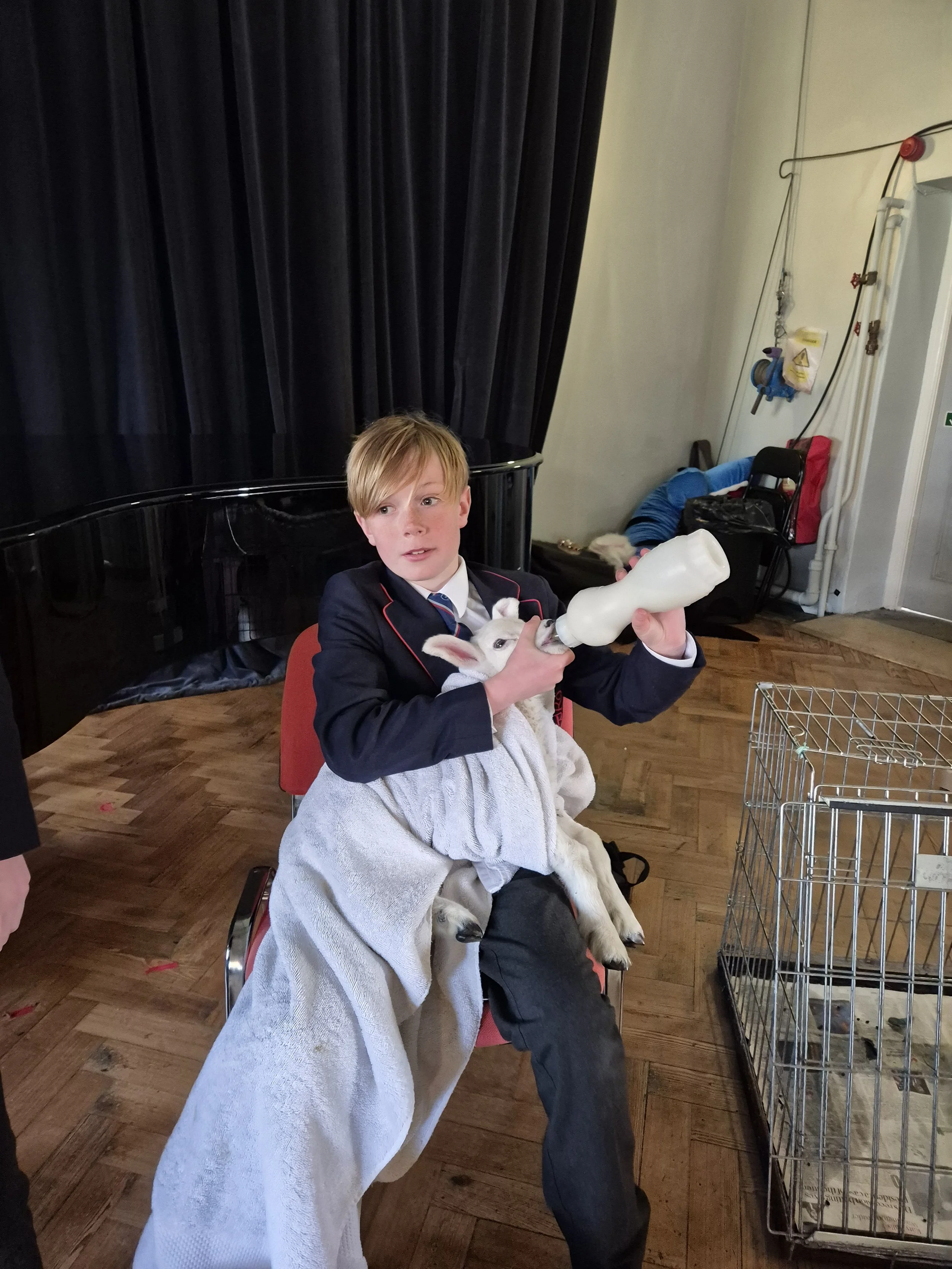 Year 8 Assembly Brings Farm Life to Rossall School with Special Guest Tulip the Lamb