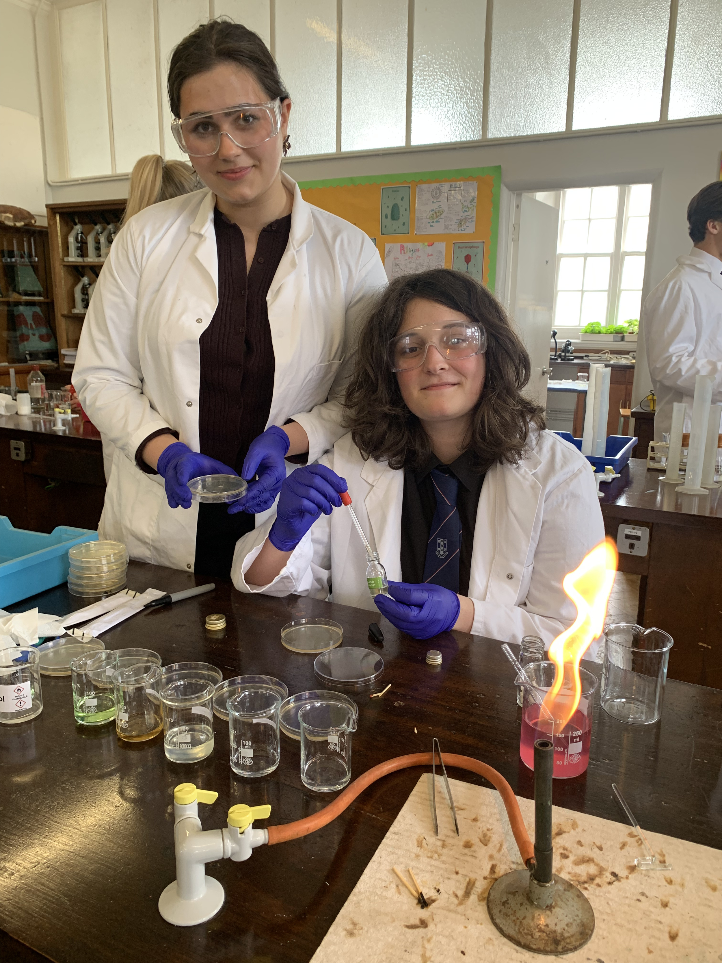 Year 12 IB Biology Students Undertake Internal Assessment Practical Investigations</span>