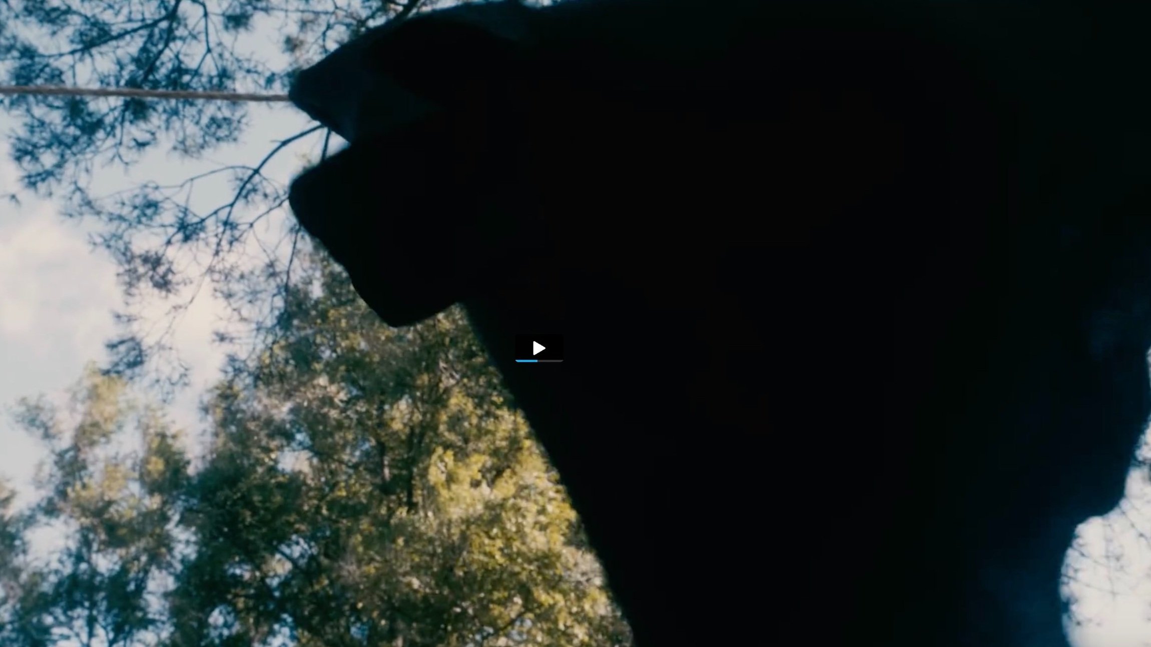 Yann+Manuel+Hernandez_DOP20.jpg