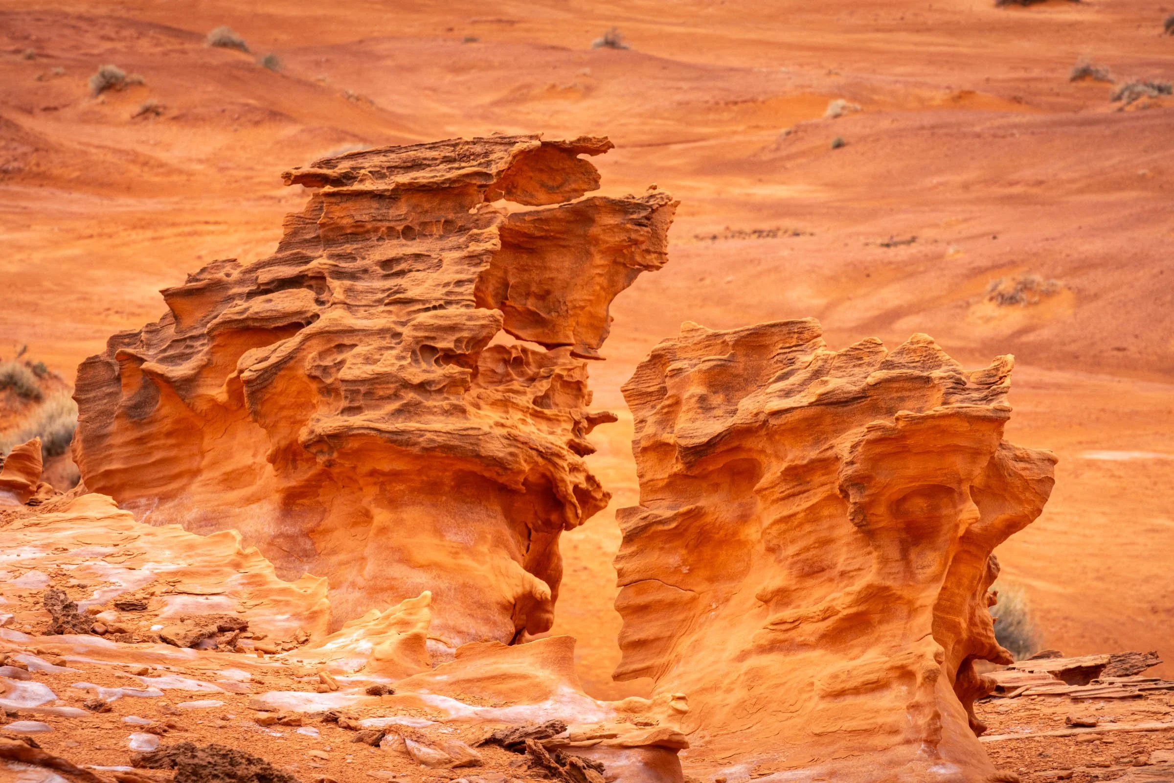GoldButte_009.jpg