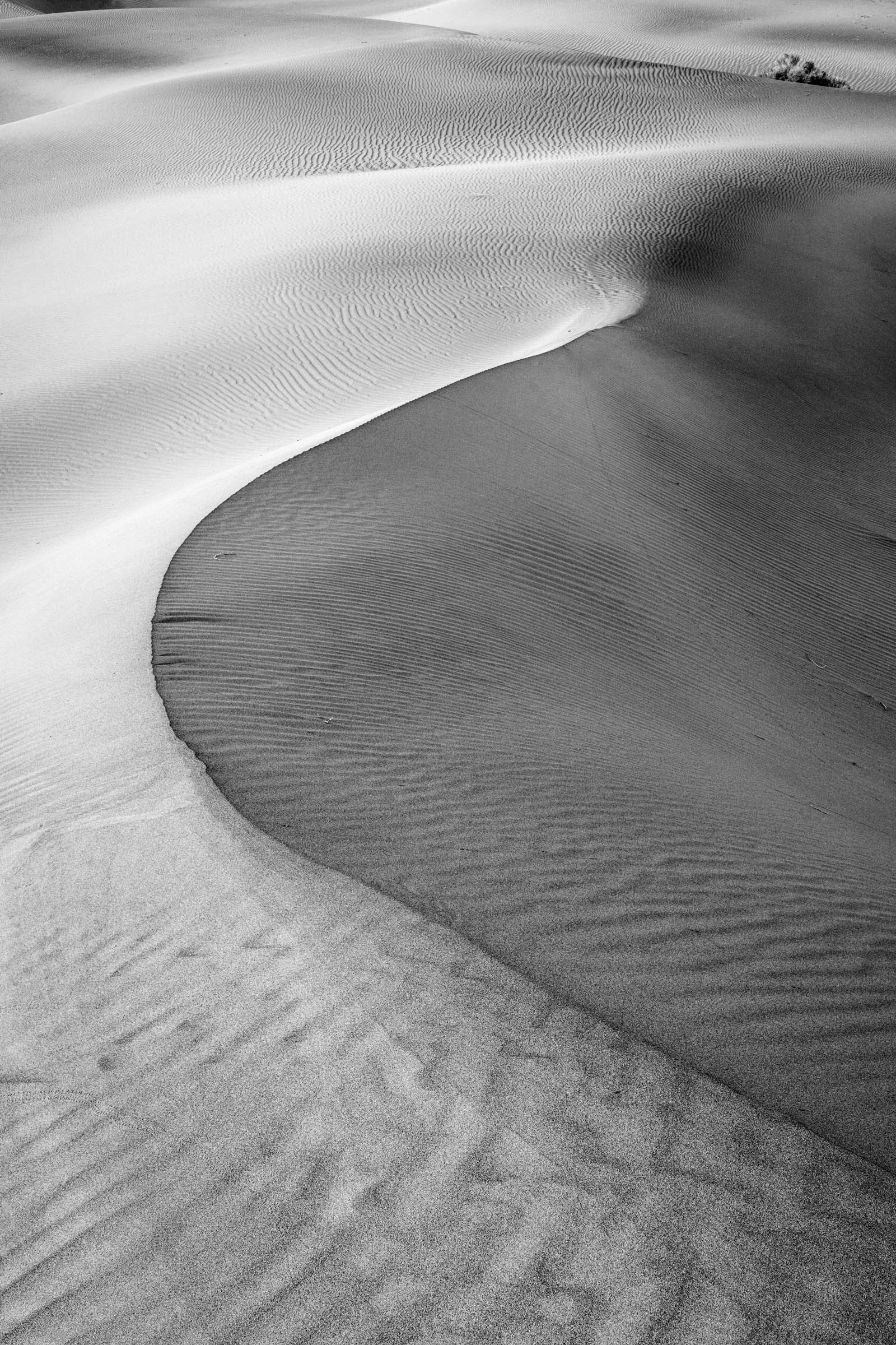 Dunes_008.jpg