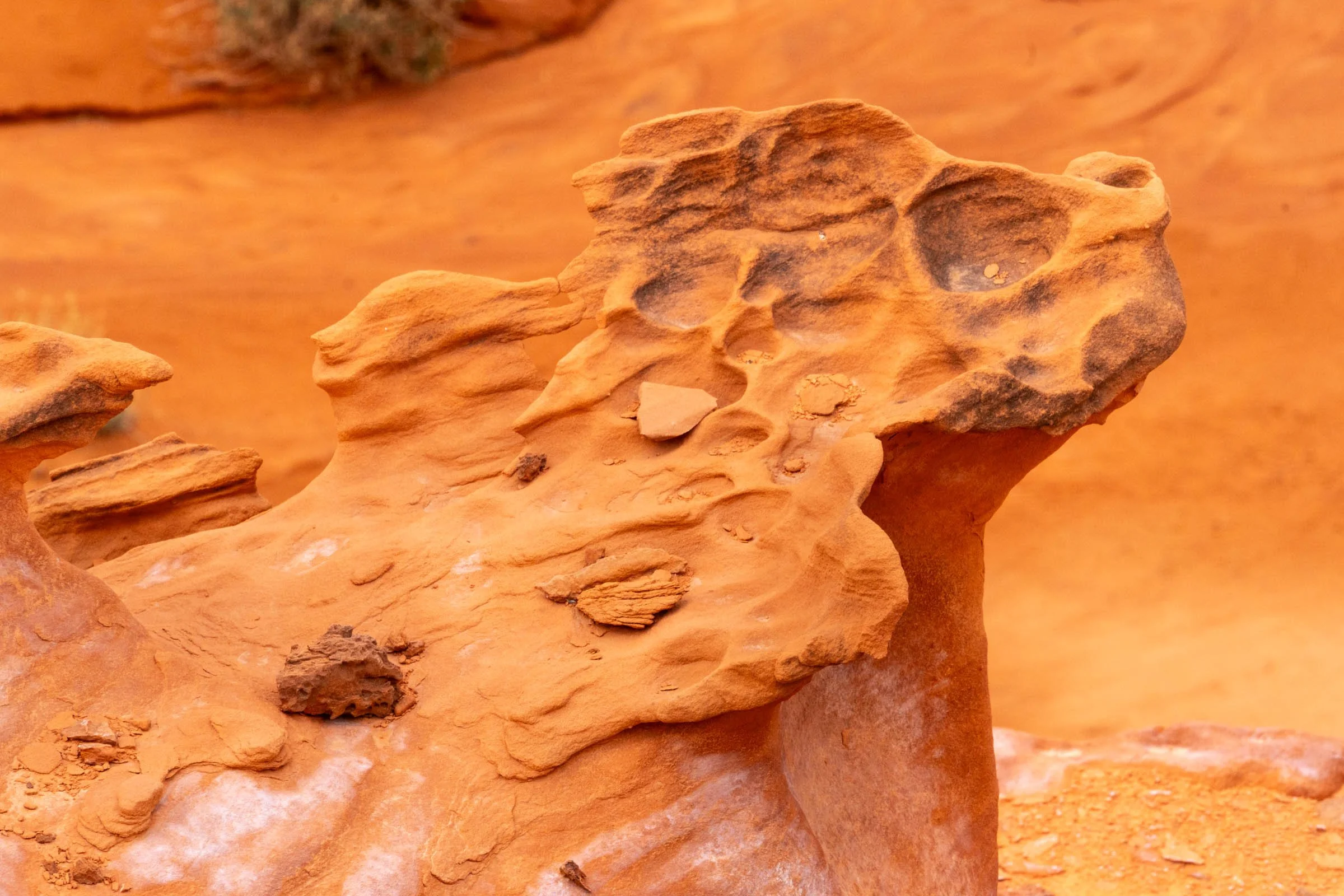 GoldButte_007.jpg