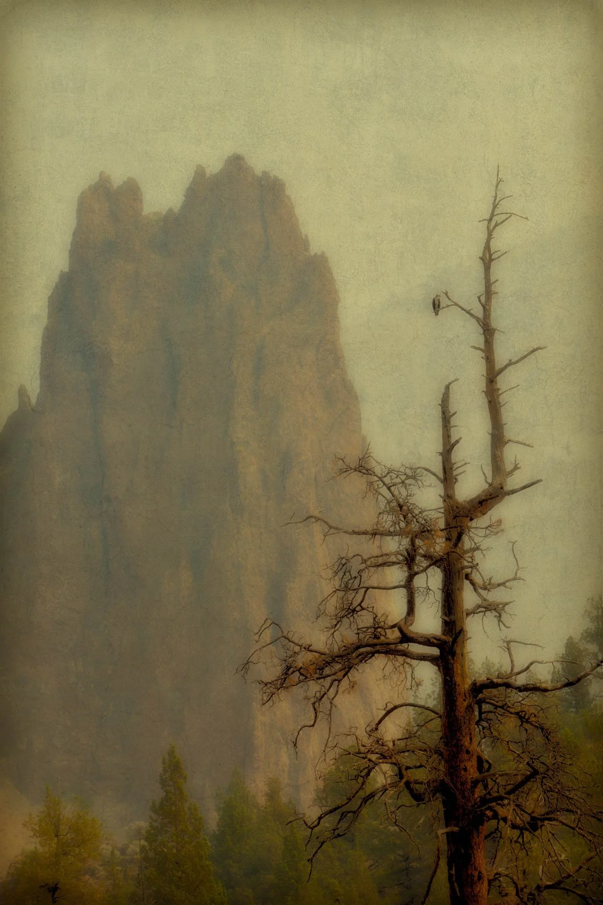 Waiting by Mark Gardner.jpg