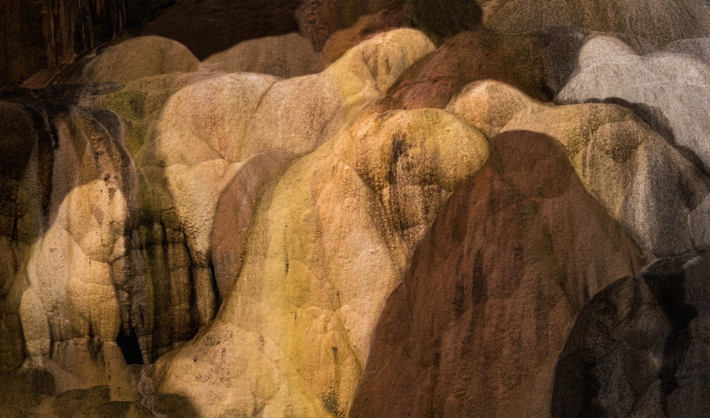 FYFFuji_091318_008 v2.jpg