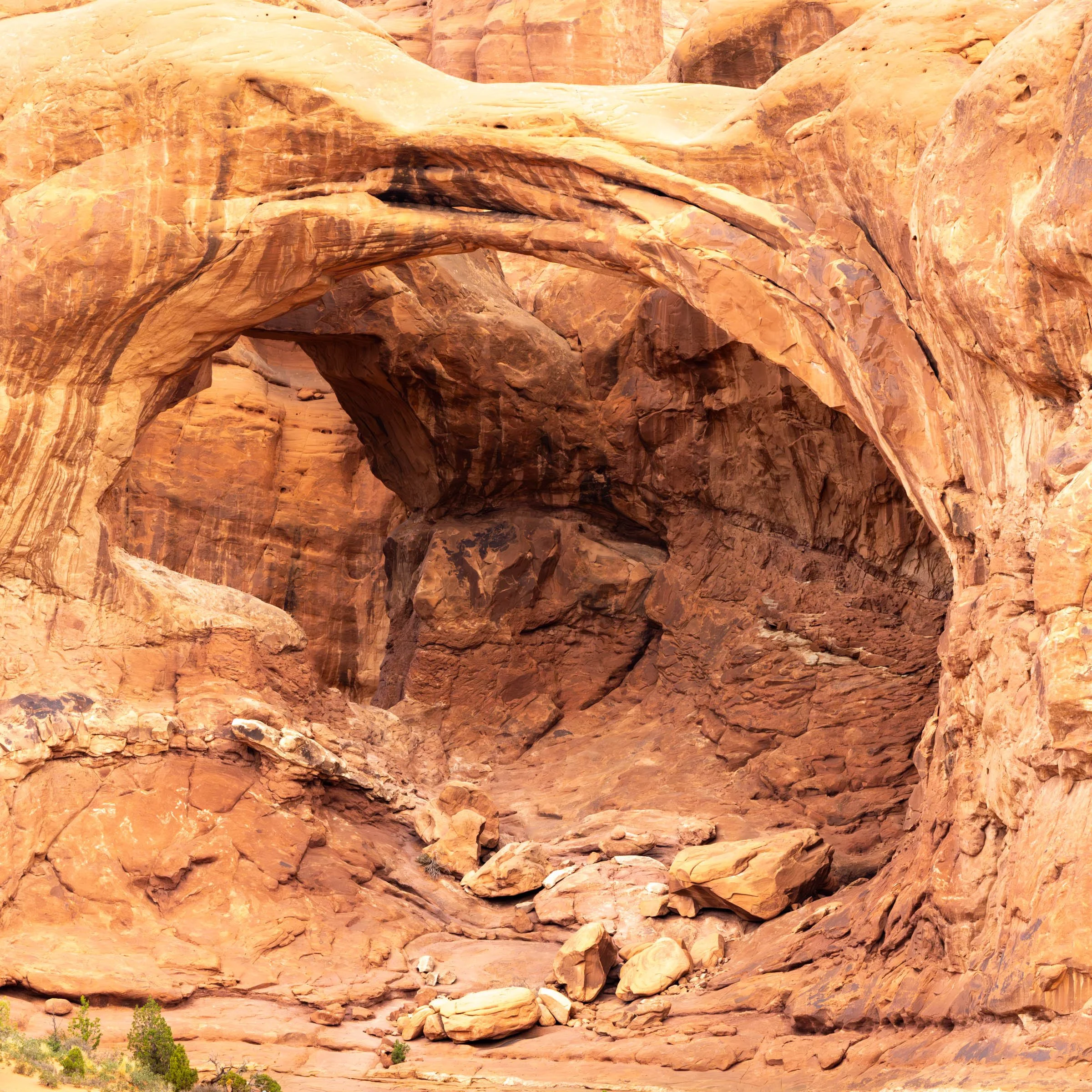 RockiesTrip_004.jpg