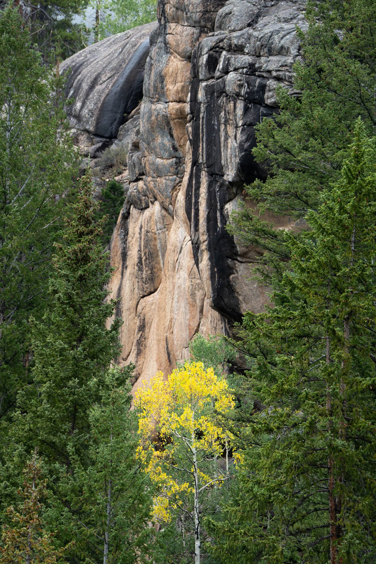 RockiesTrip_015.jpg