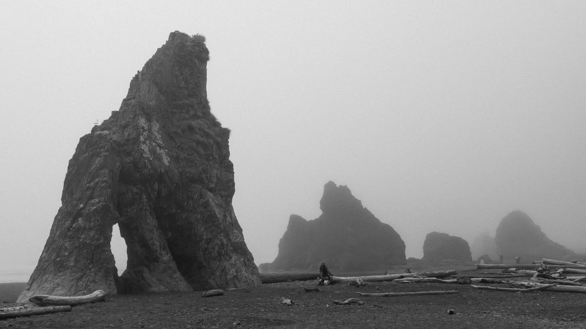 RubyBeachFOG_001.jpg