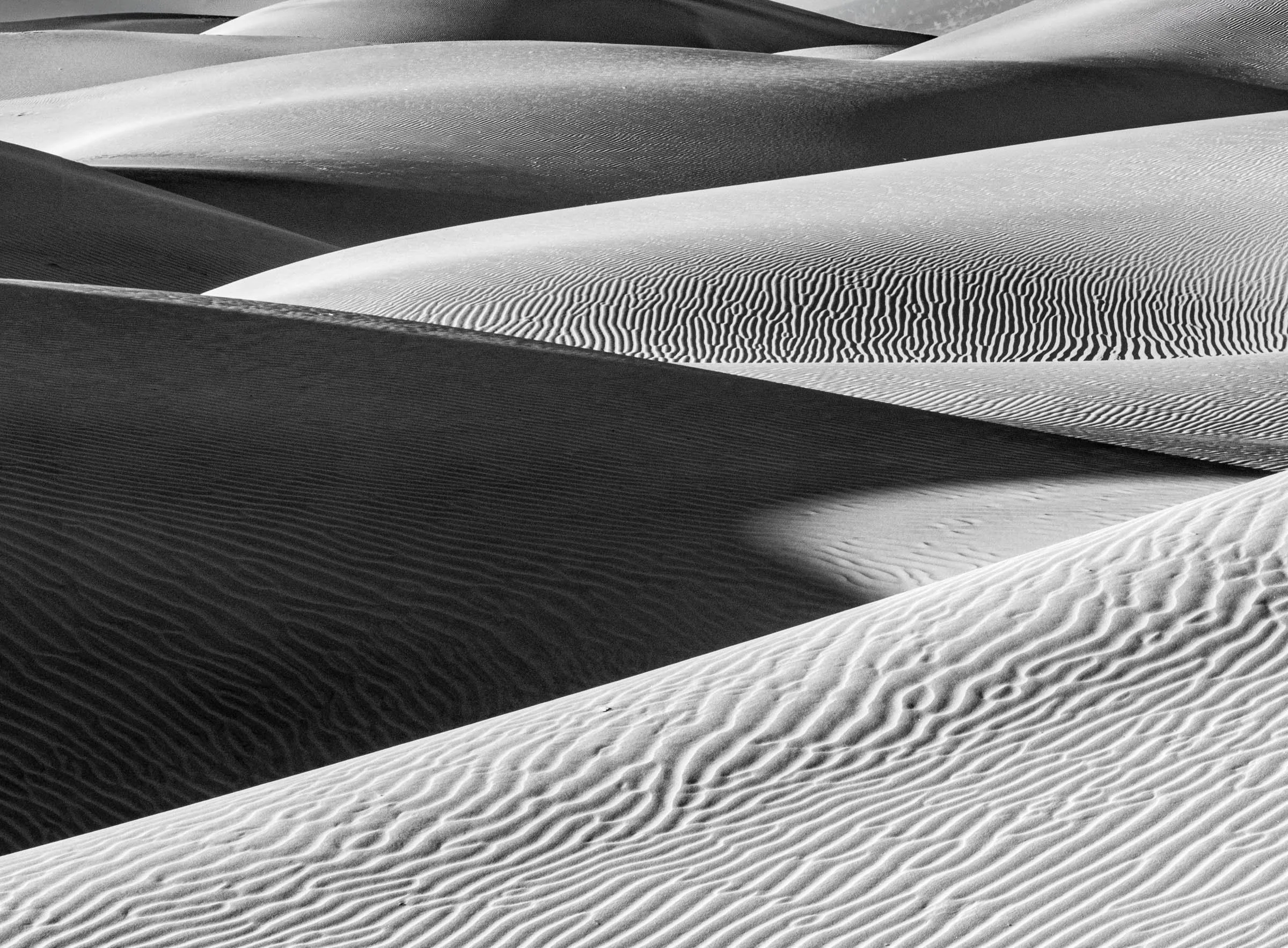 Dunes_012.jpg