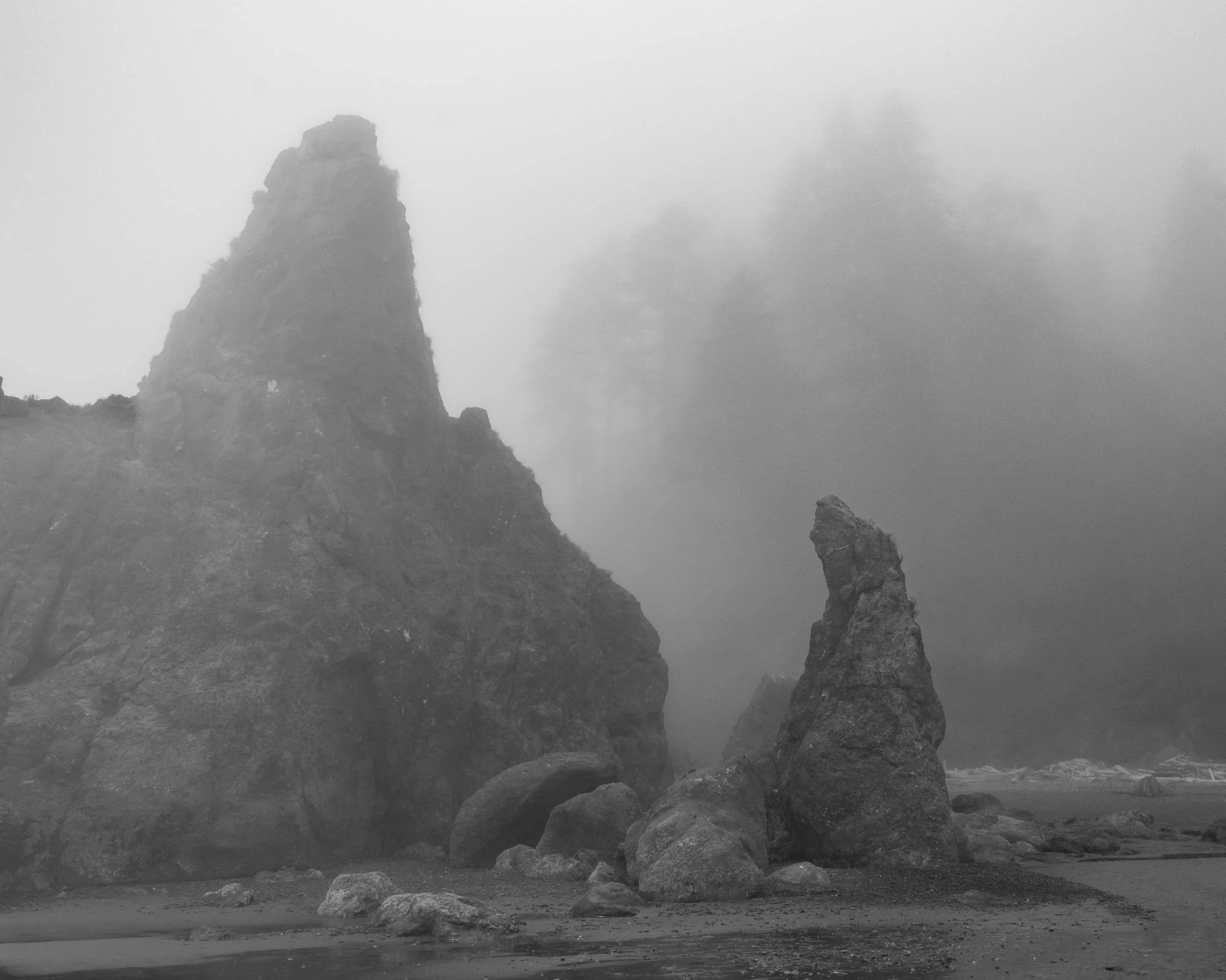 RubyBeachFOG_008.jpg