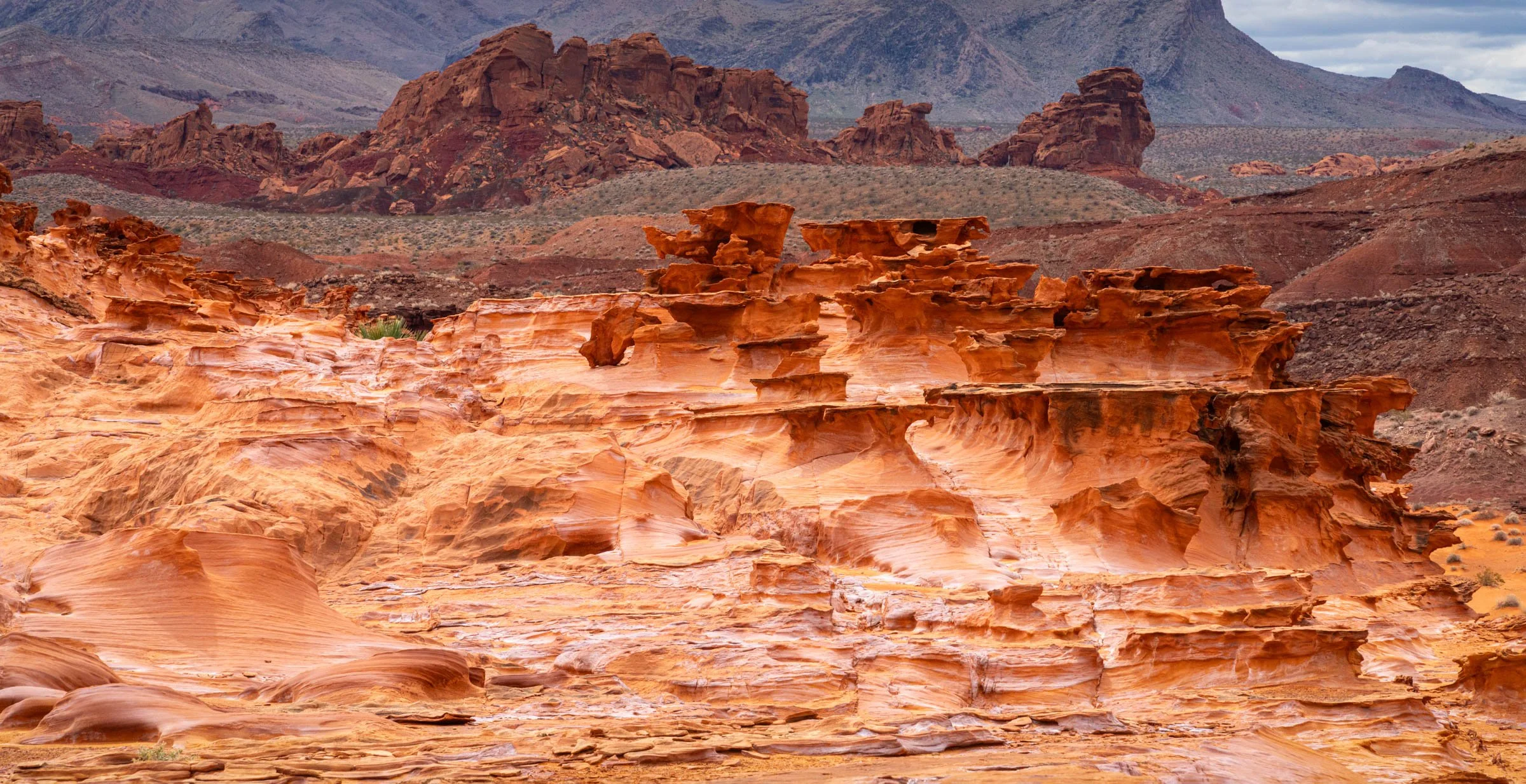 GoldButte_003.jpg