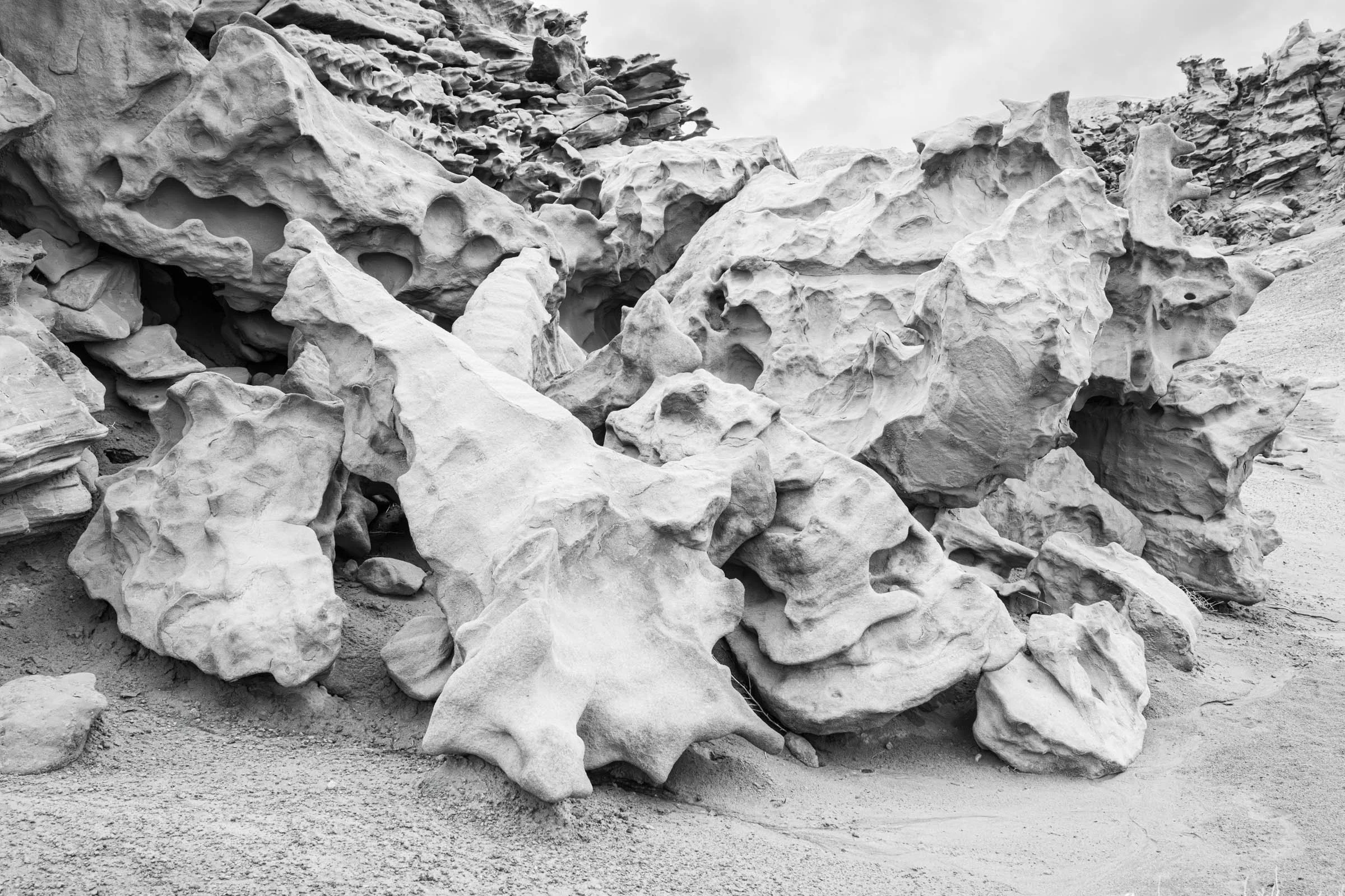 The Aliens Have Landed