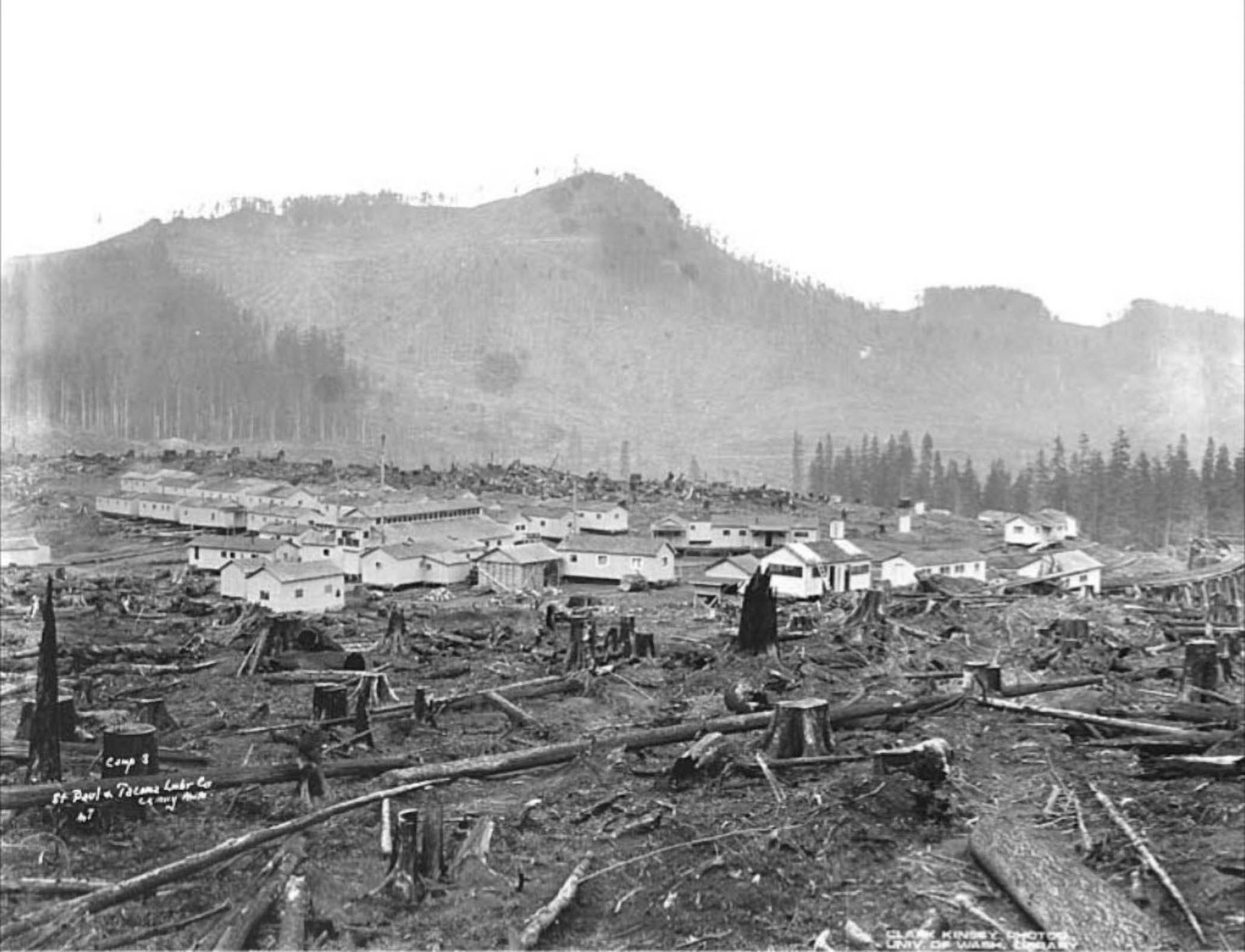 LegacyForests_002.jpg