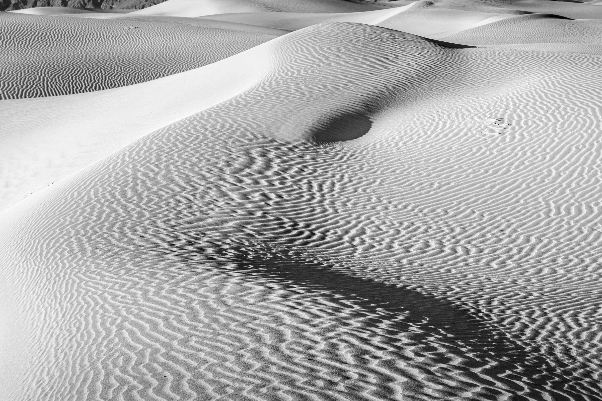 Dunes_007.jpg