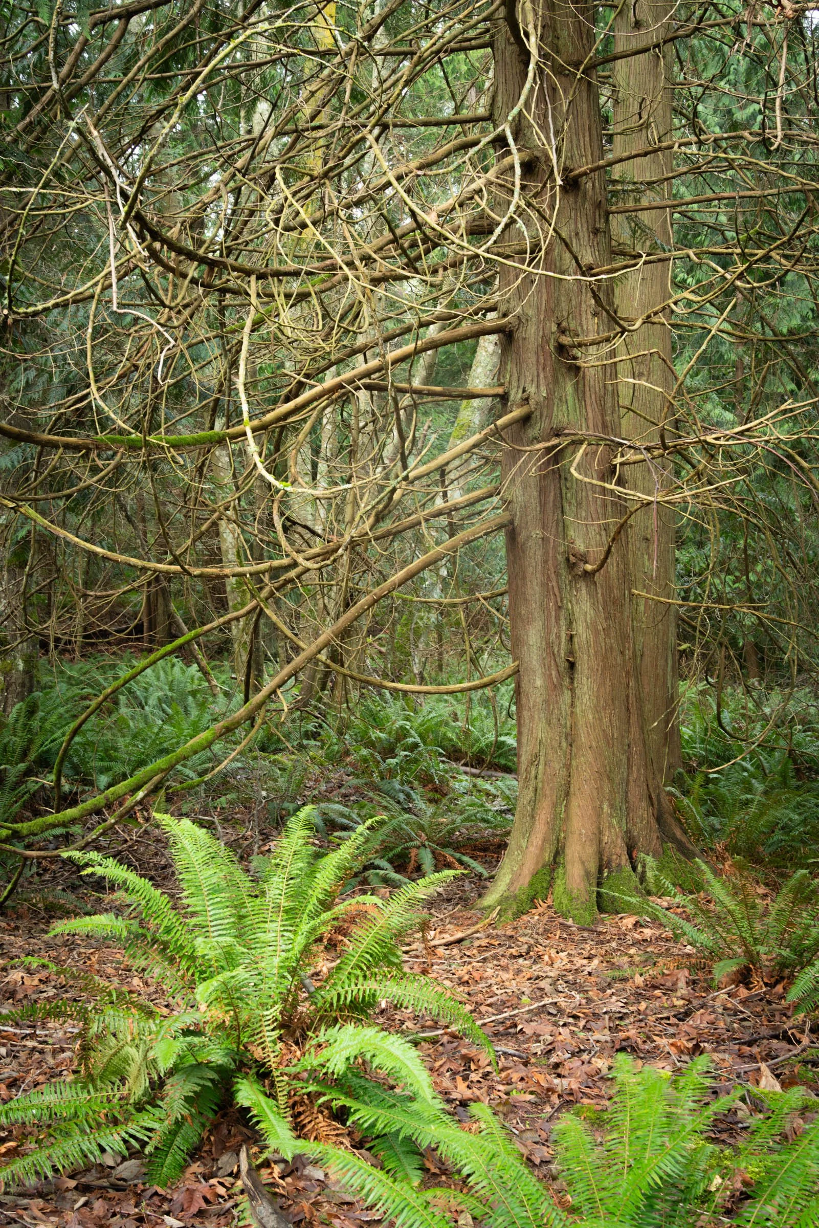 ACFL_010126_046.jpg