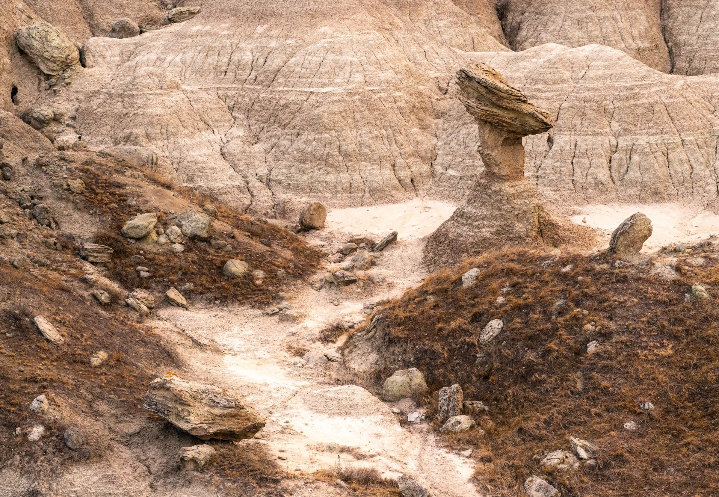Badlands_004.jpg