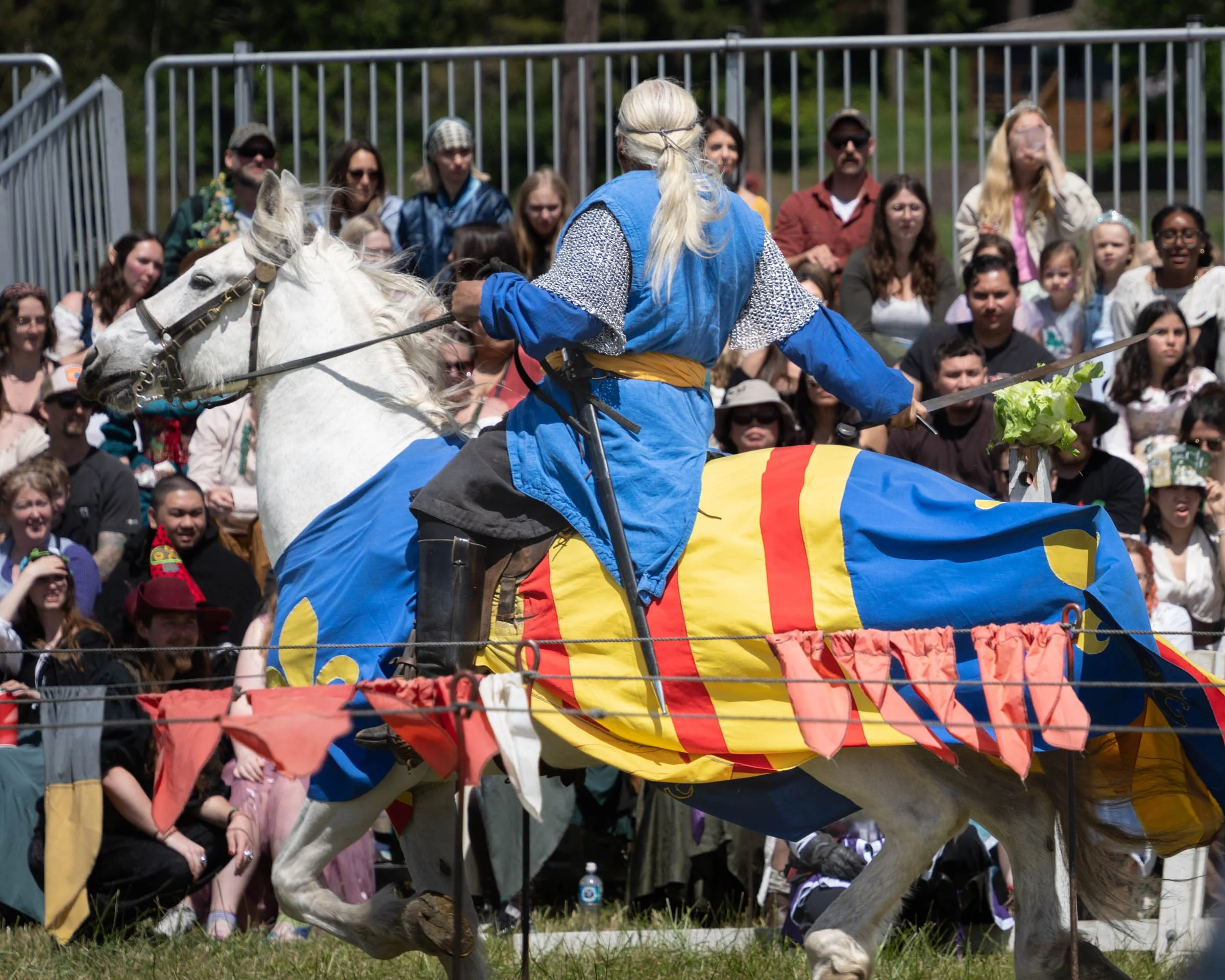 WhibeyRenFaire_028.jpg