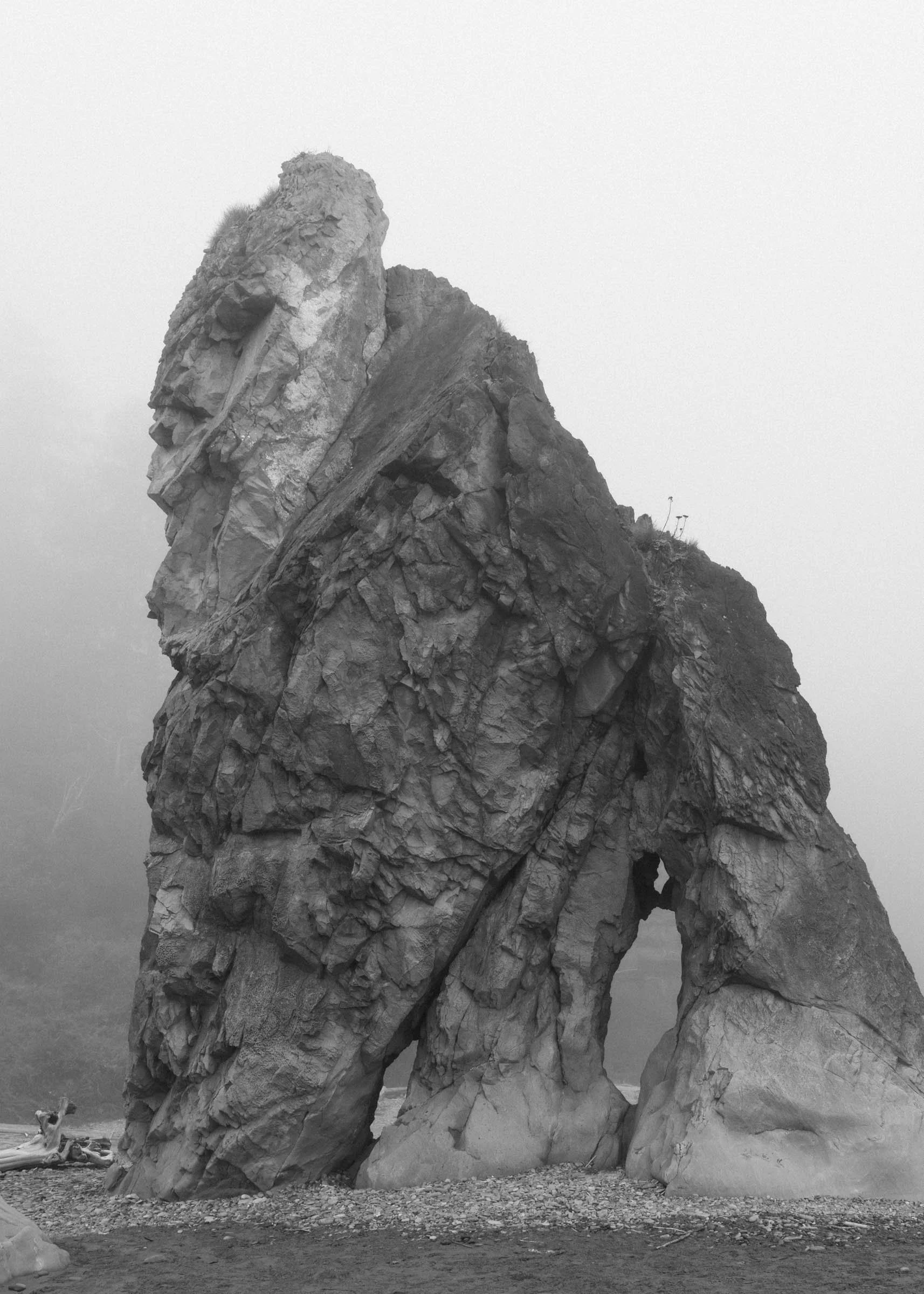 RubyBeachFOG_005.jpg