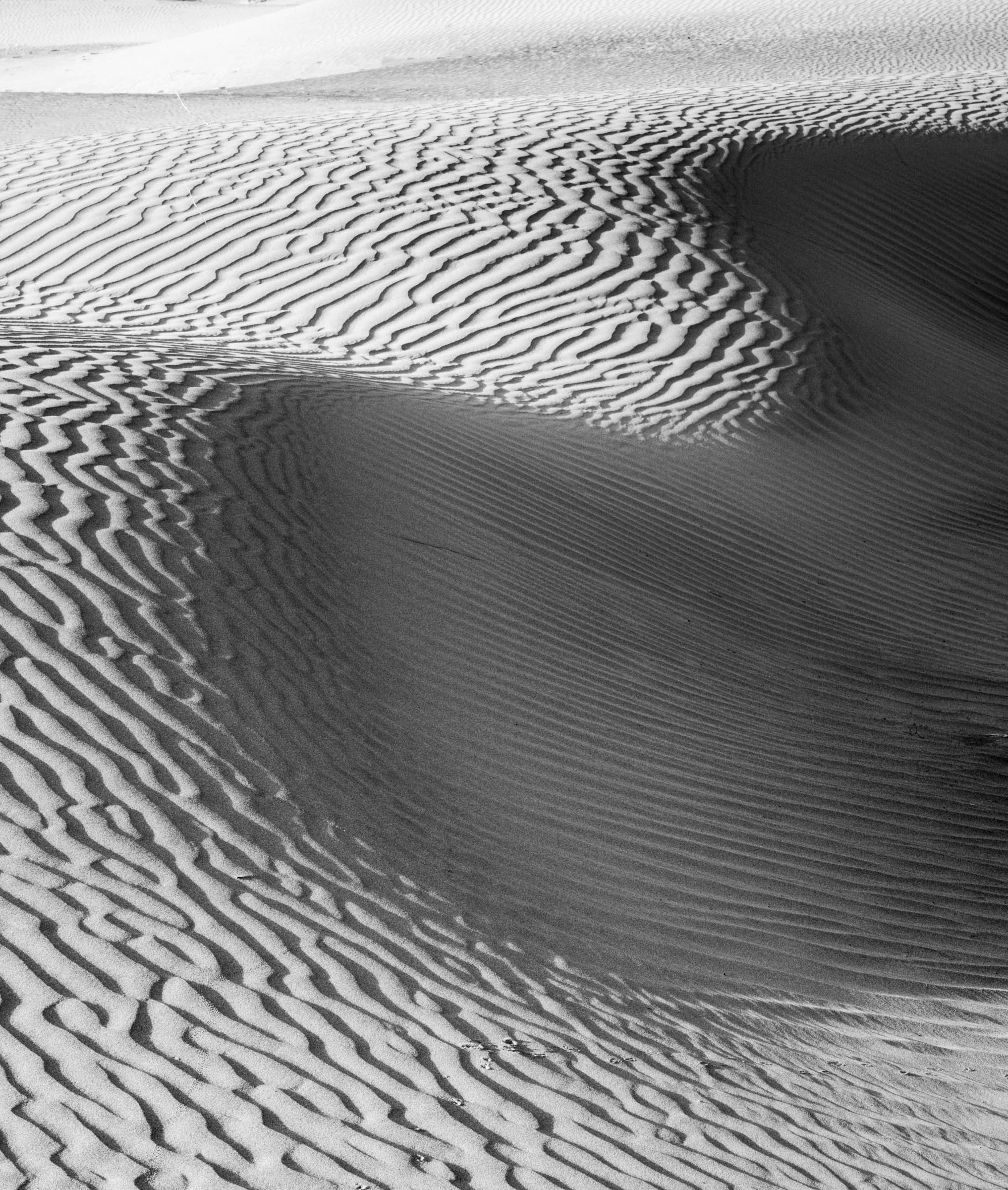 Dunes_005.jpg