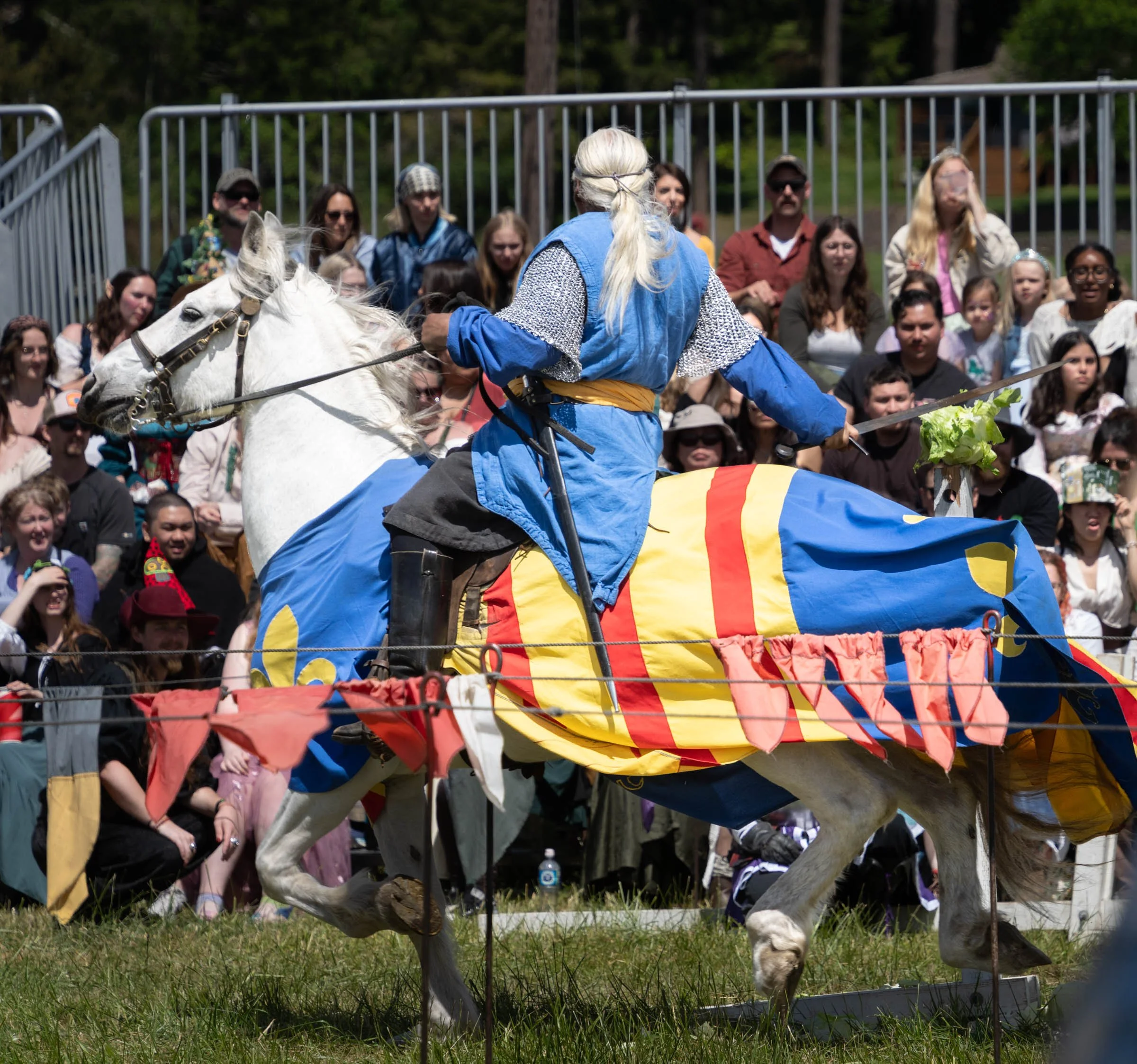 WhidbeyRenFaire_044.jpg