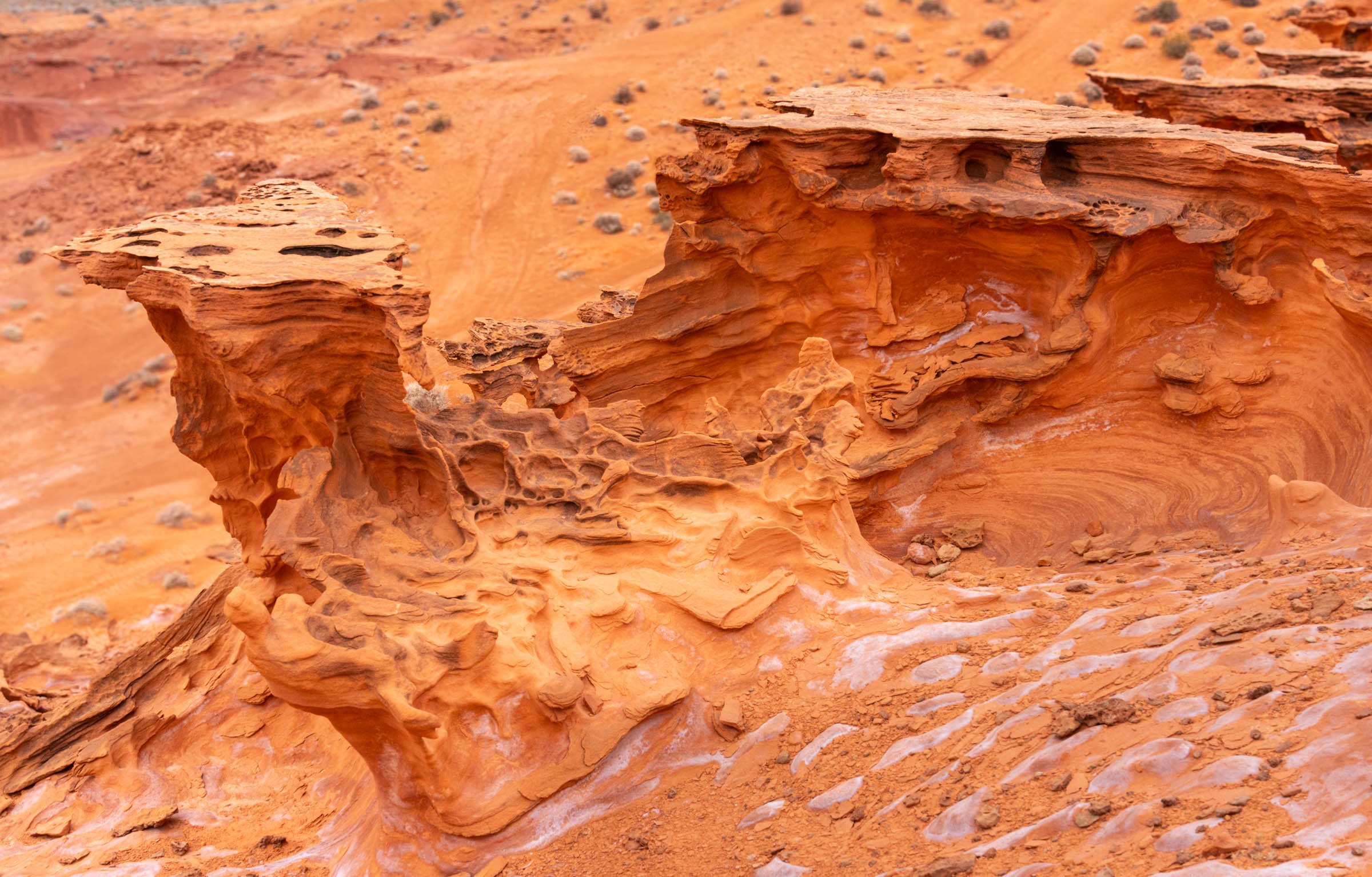 GoldButte_005.jpg