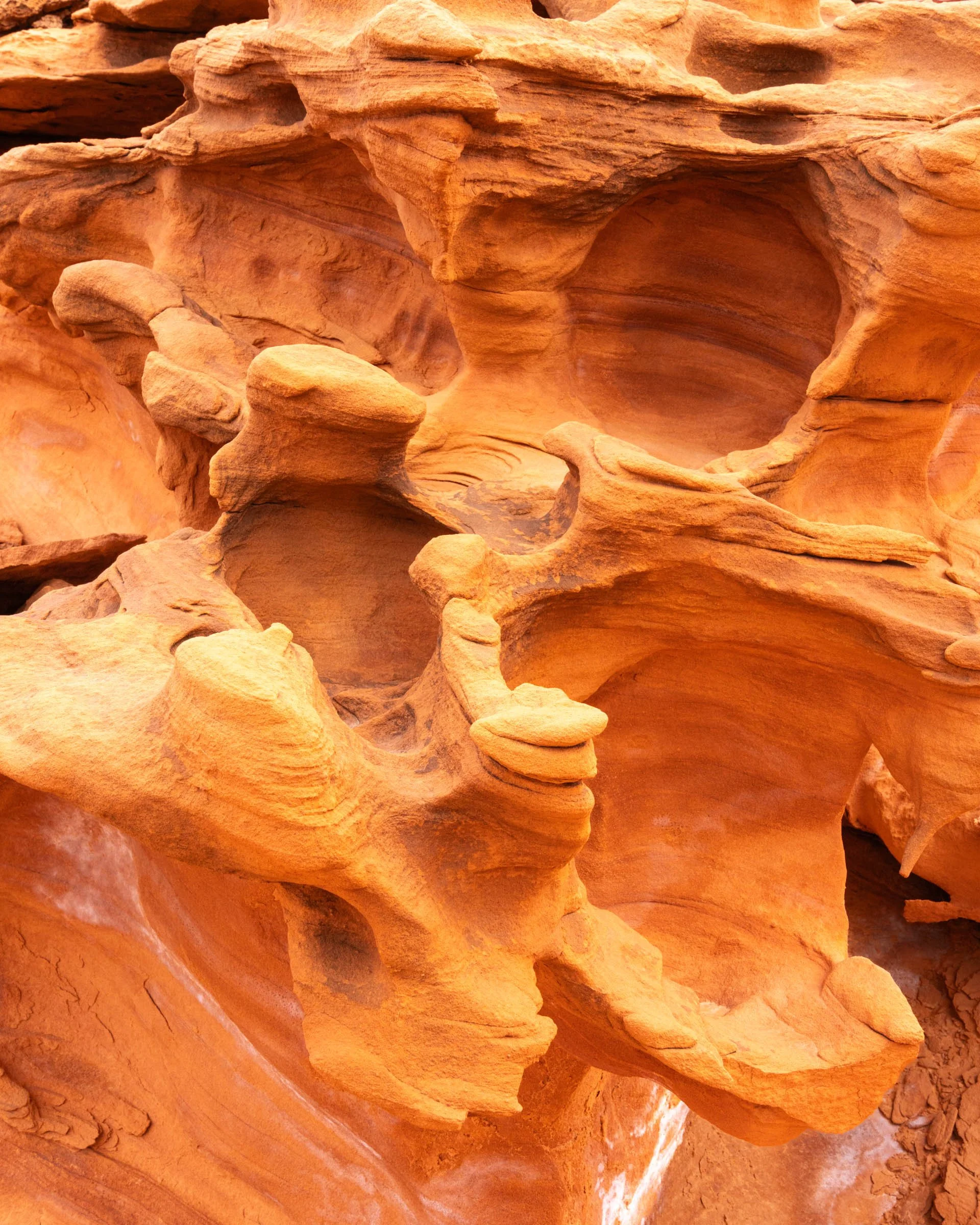 GoldButte_008.jpg