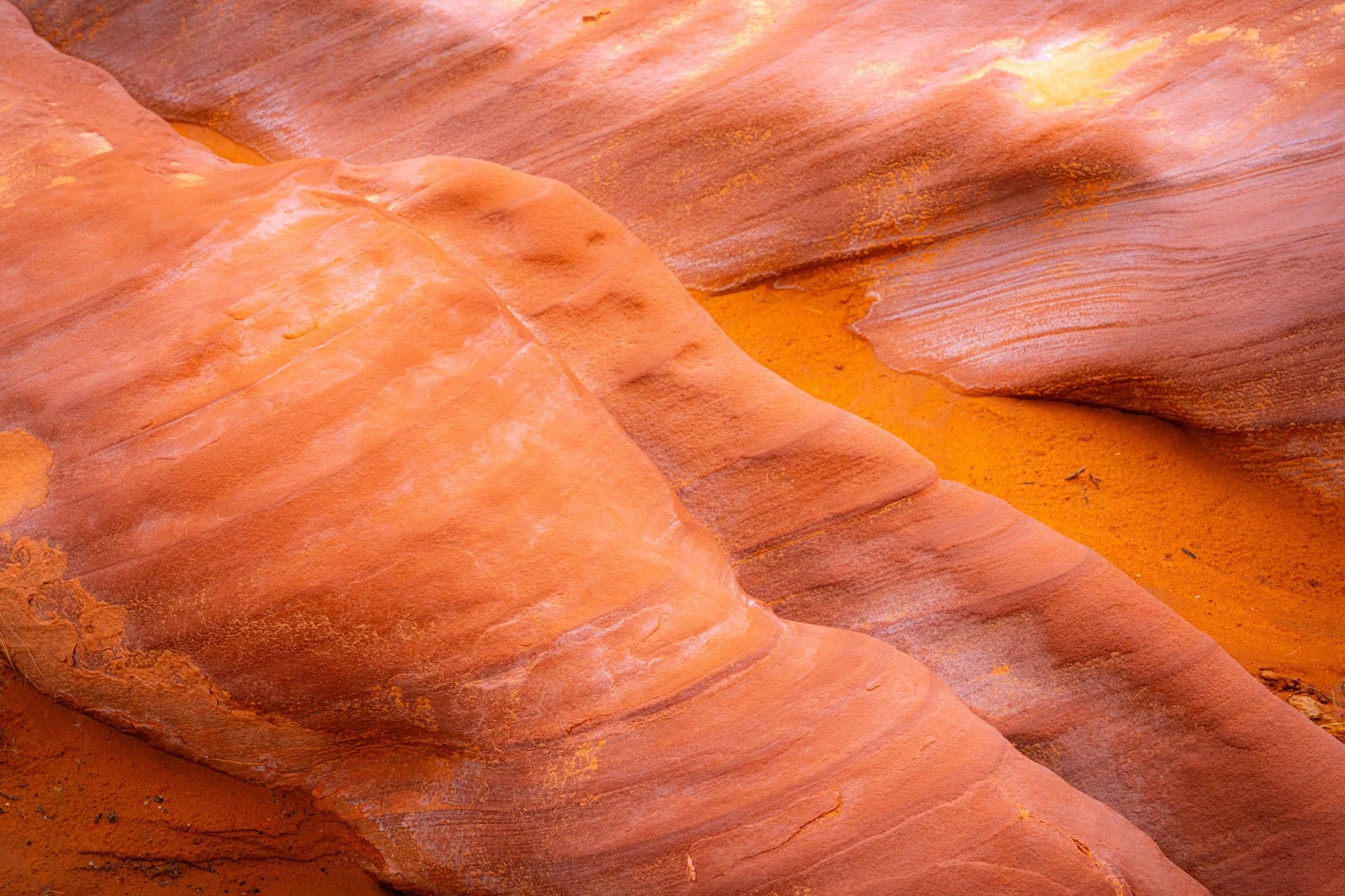 GoldButte_018.jpg