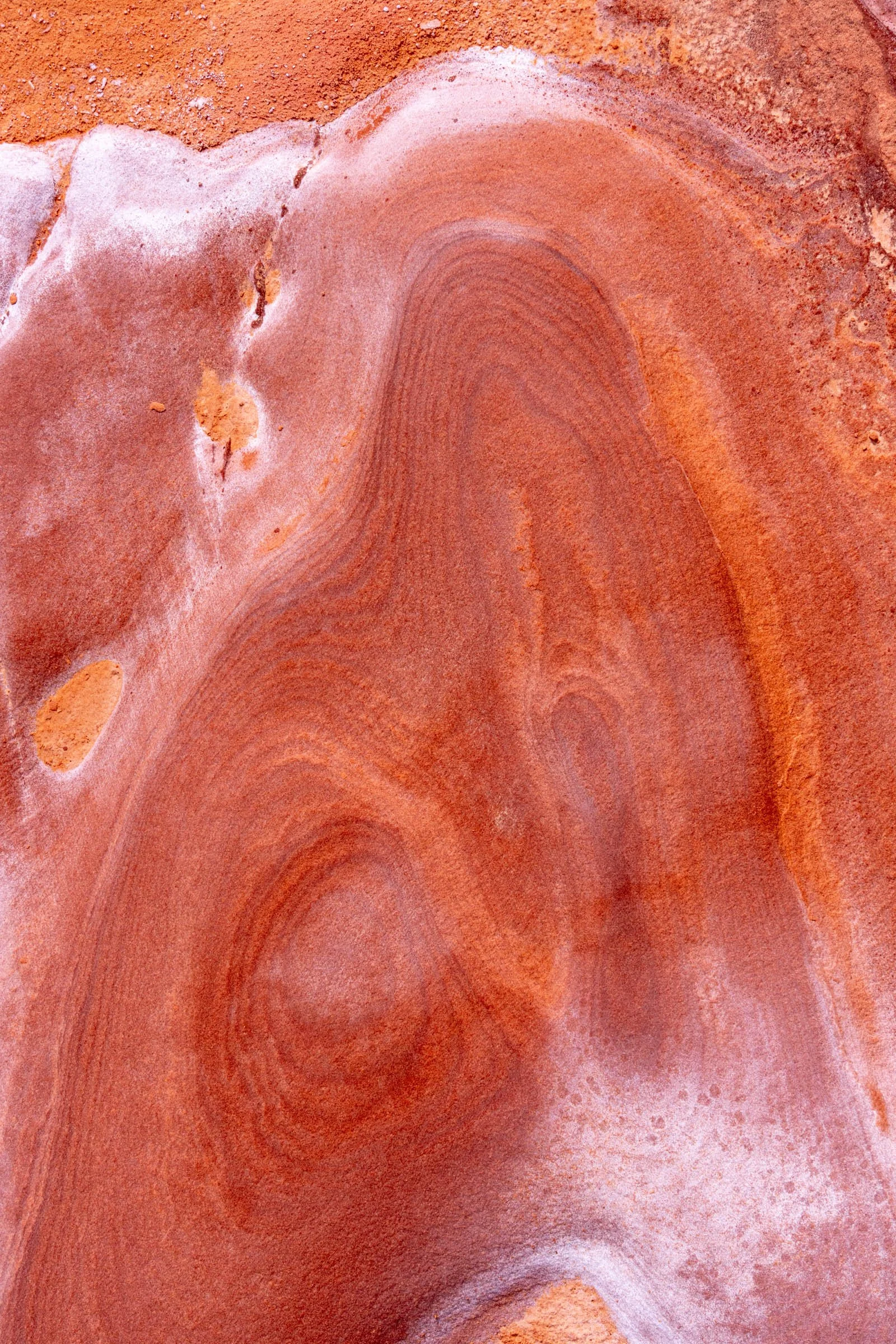 GoldButte_021.jpg