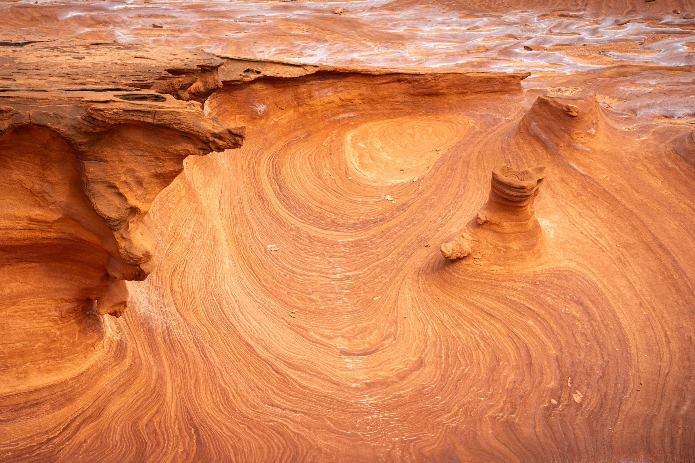 GoldButte_011.jpg