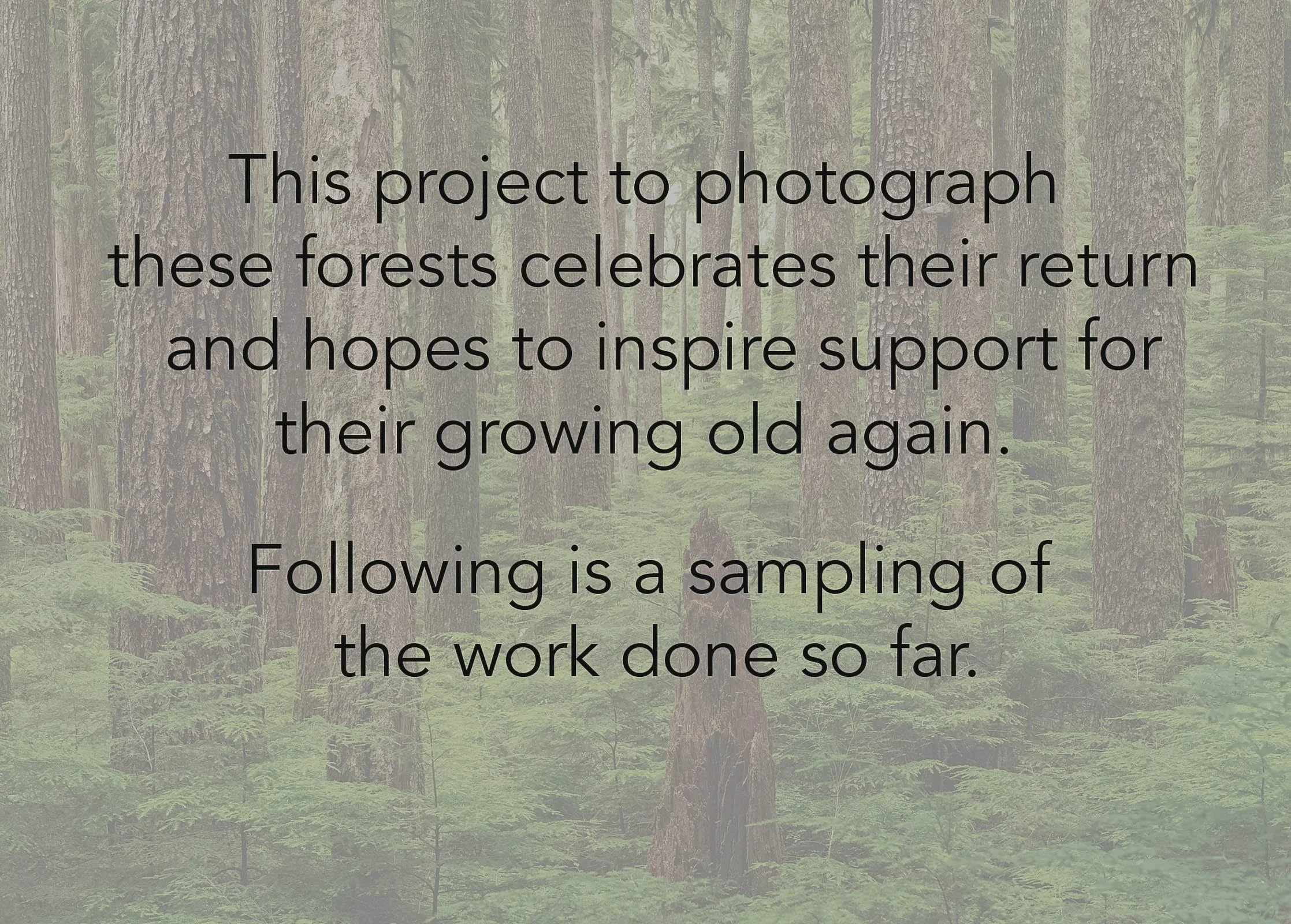 LegacyForests_010.jpg