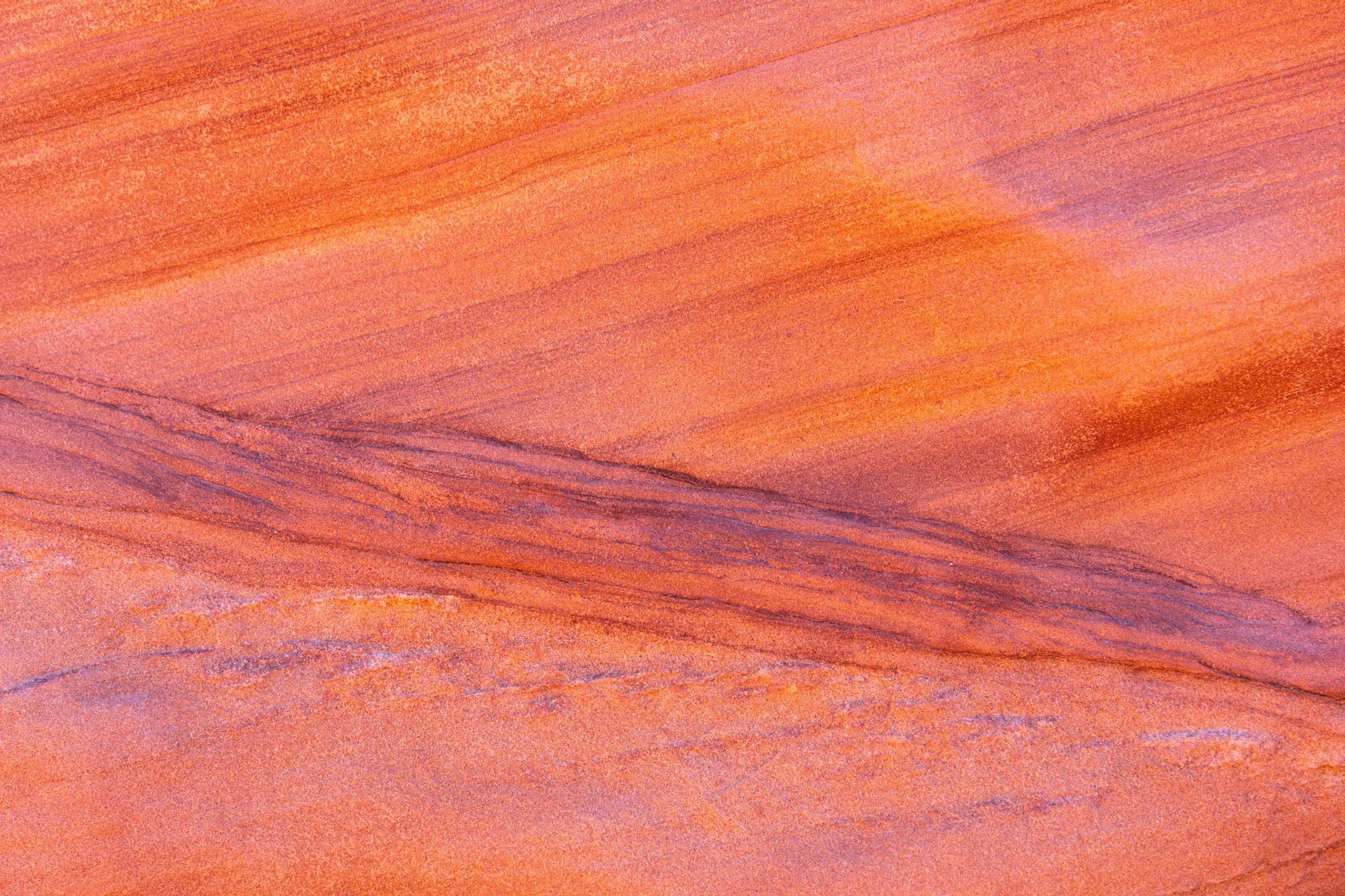 GoldButte_022.jpg