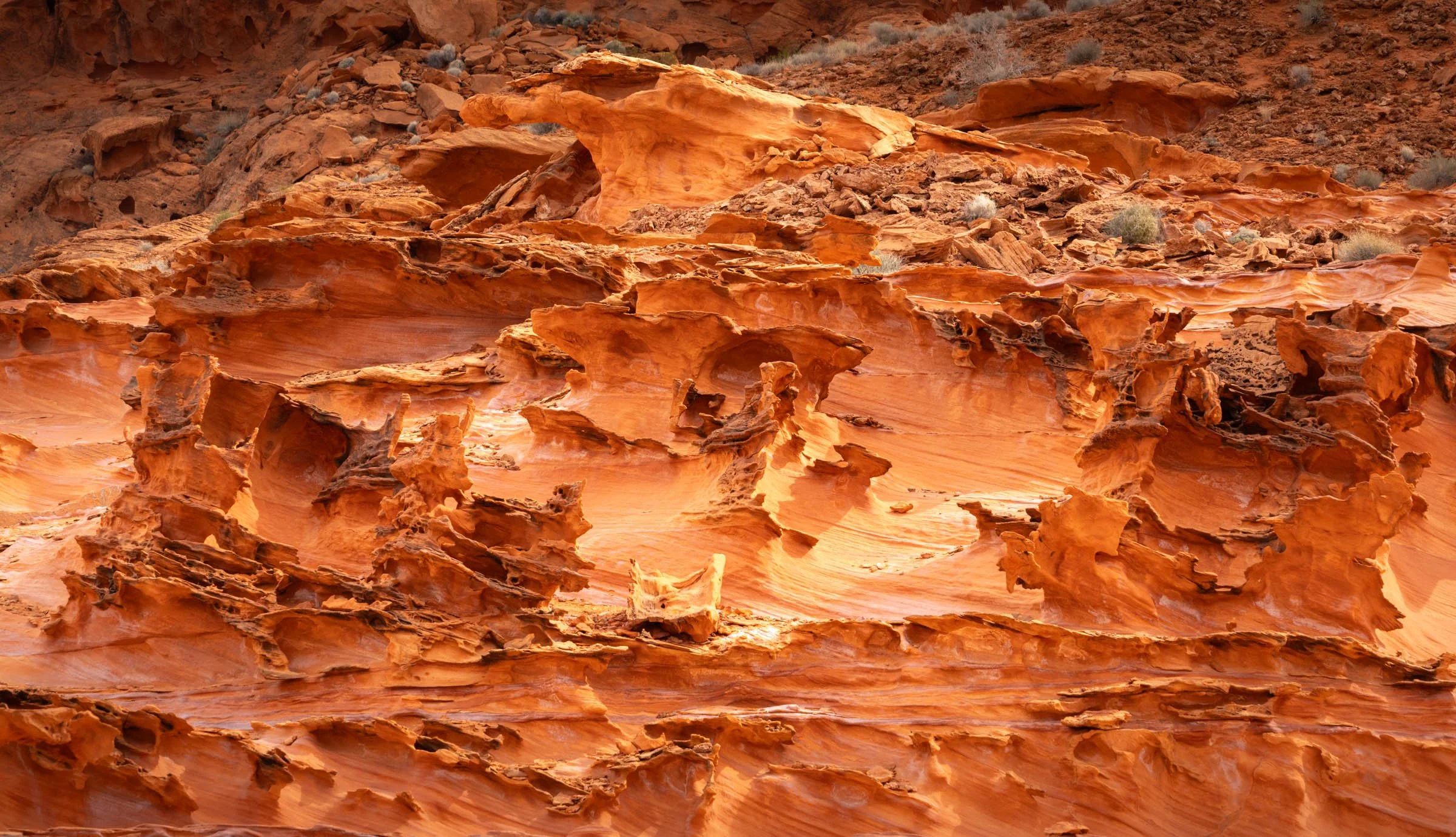 GoldButte_004.jpg