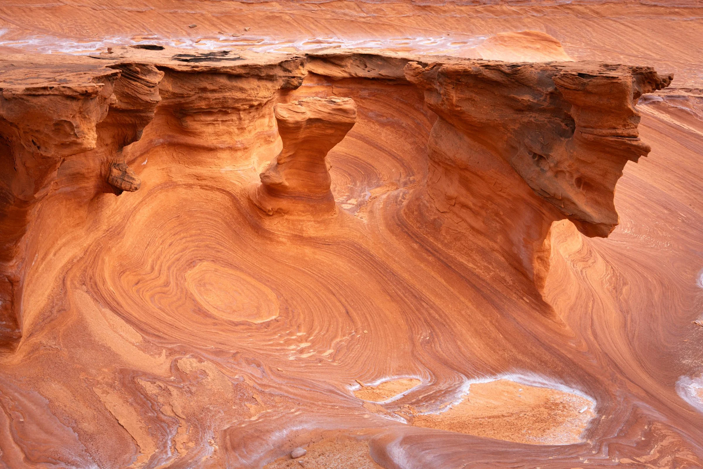 GoldButte_012.jpg