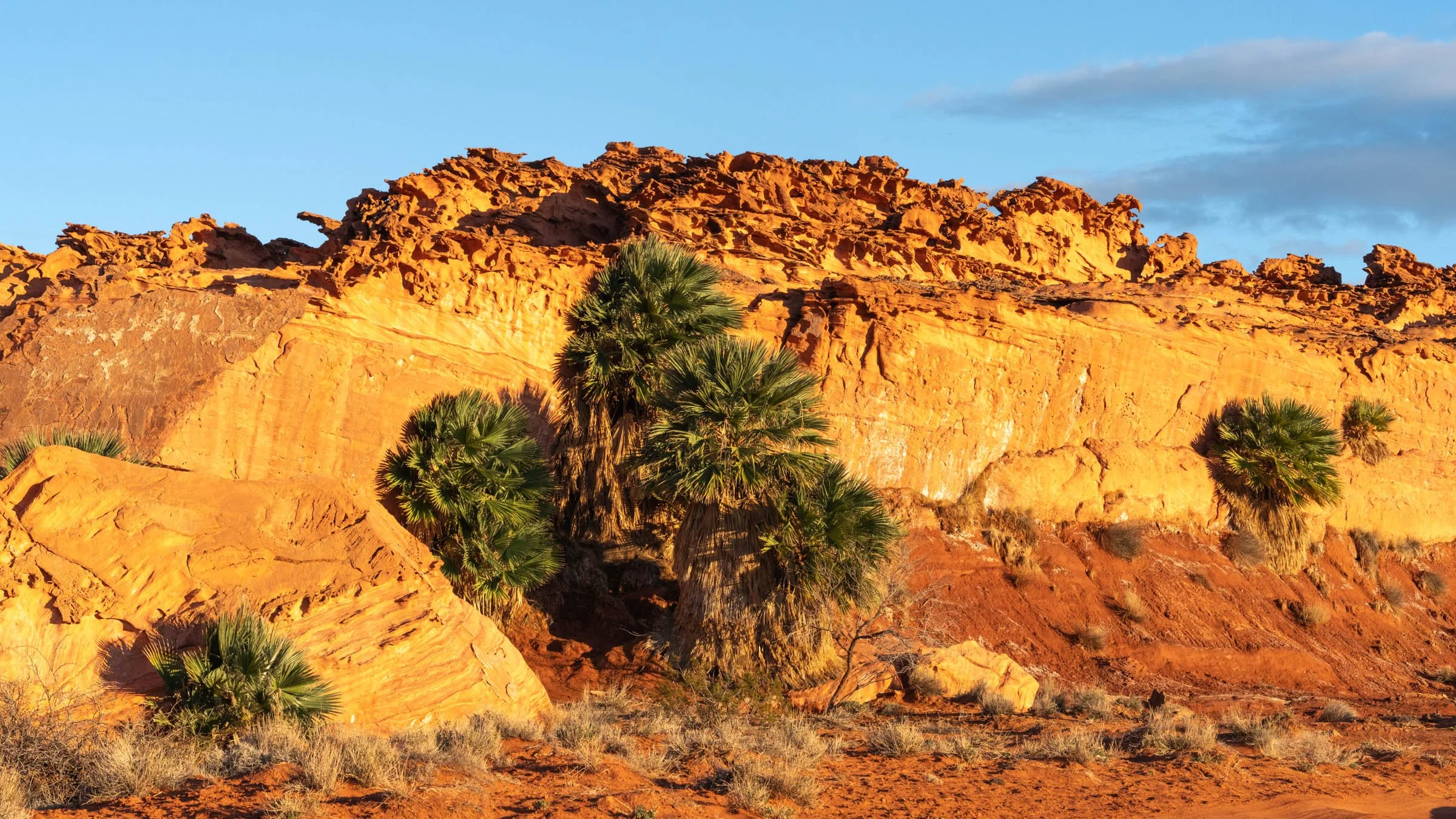 GoldButte_001.jpg