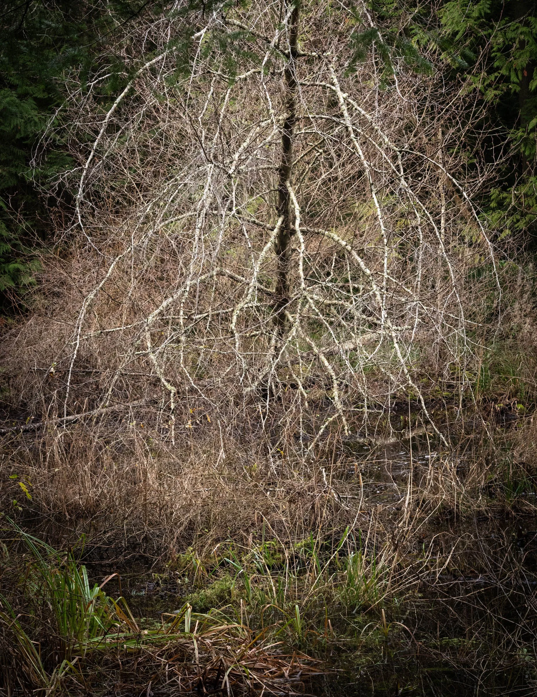 ACFL_010126_032.jpg