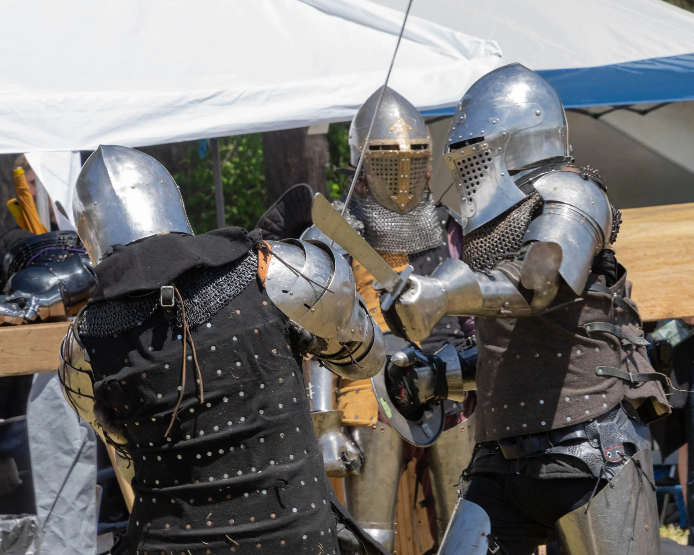 WhidbeyRenFaire_034.jpg