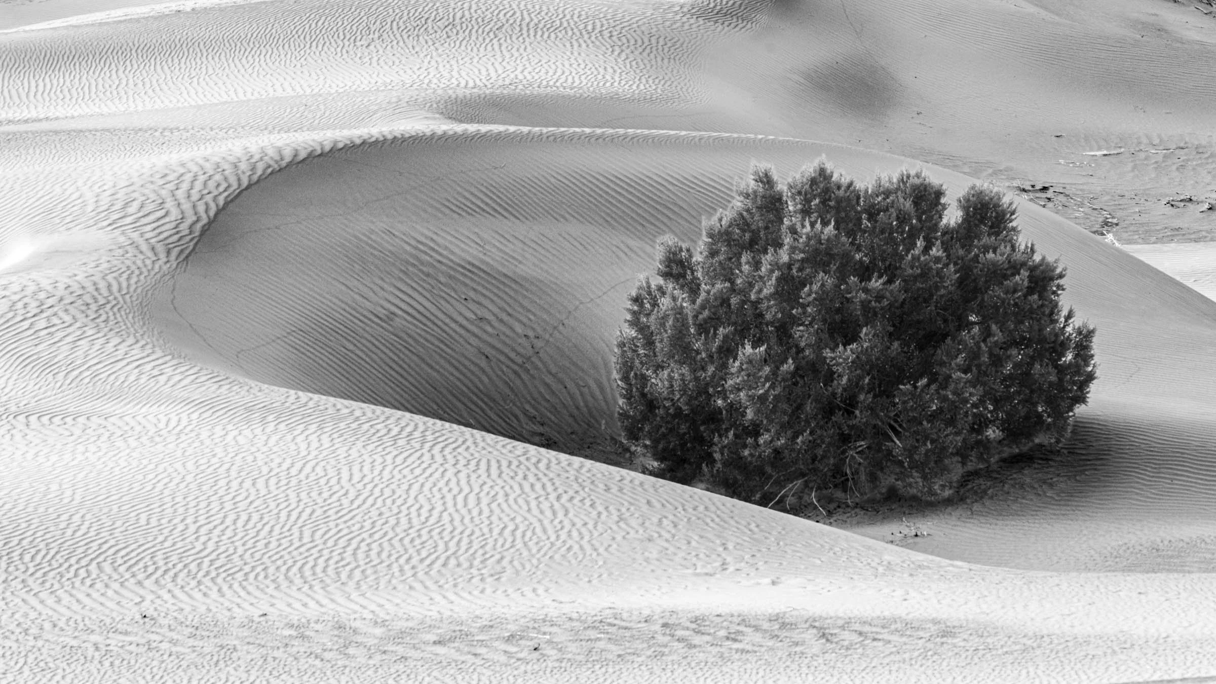 MesquiteDunes_004.jpg