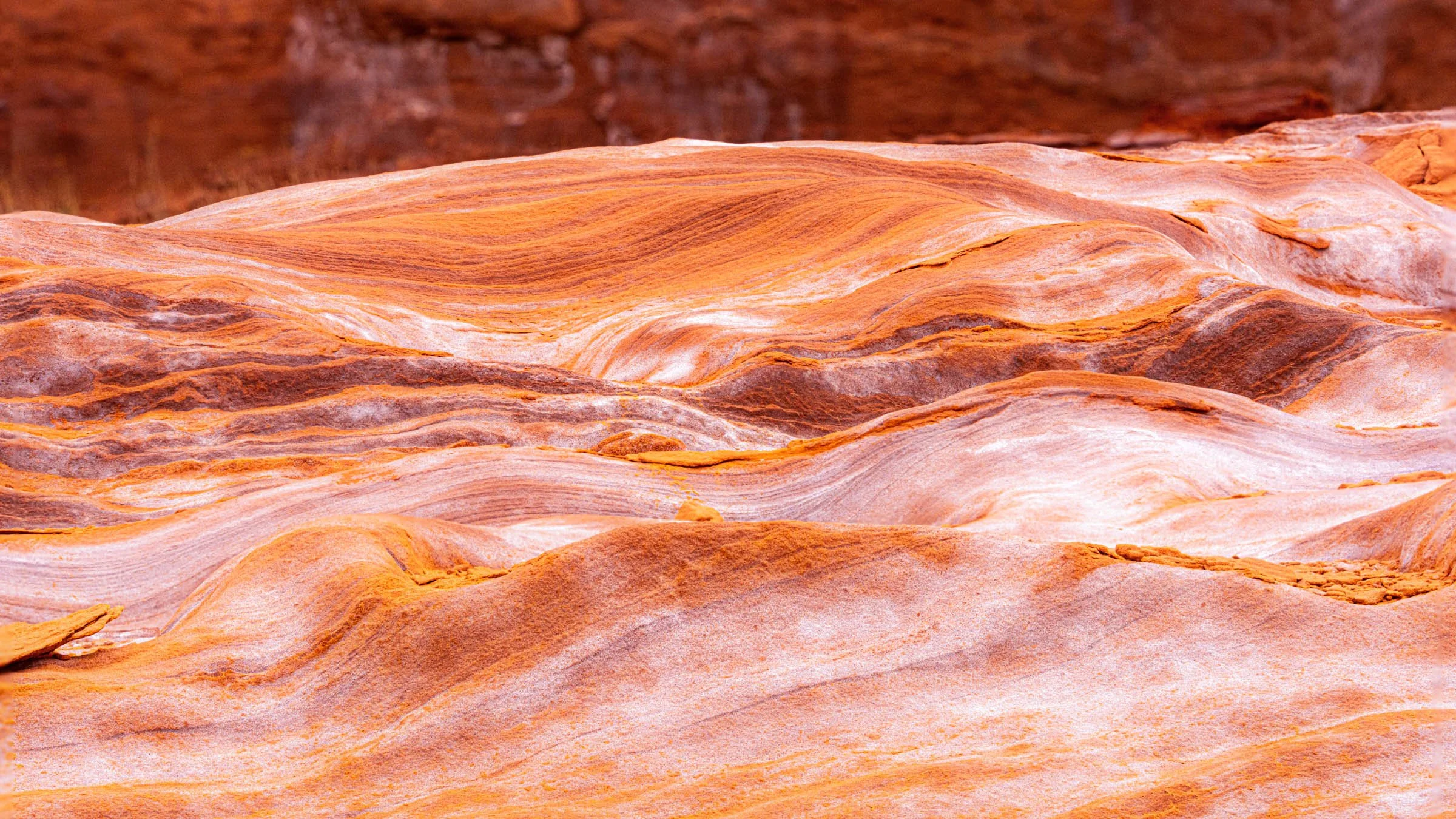 GoldButte_017.jpg