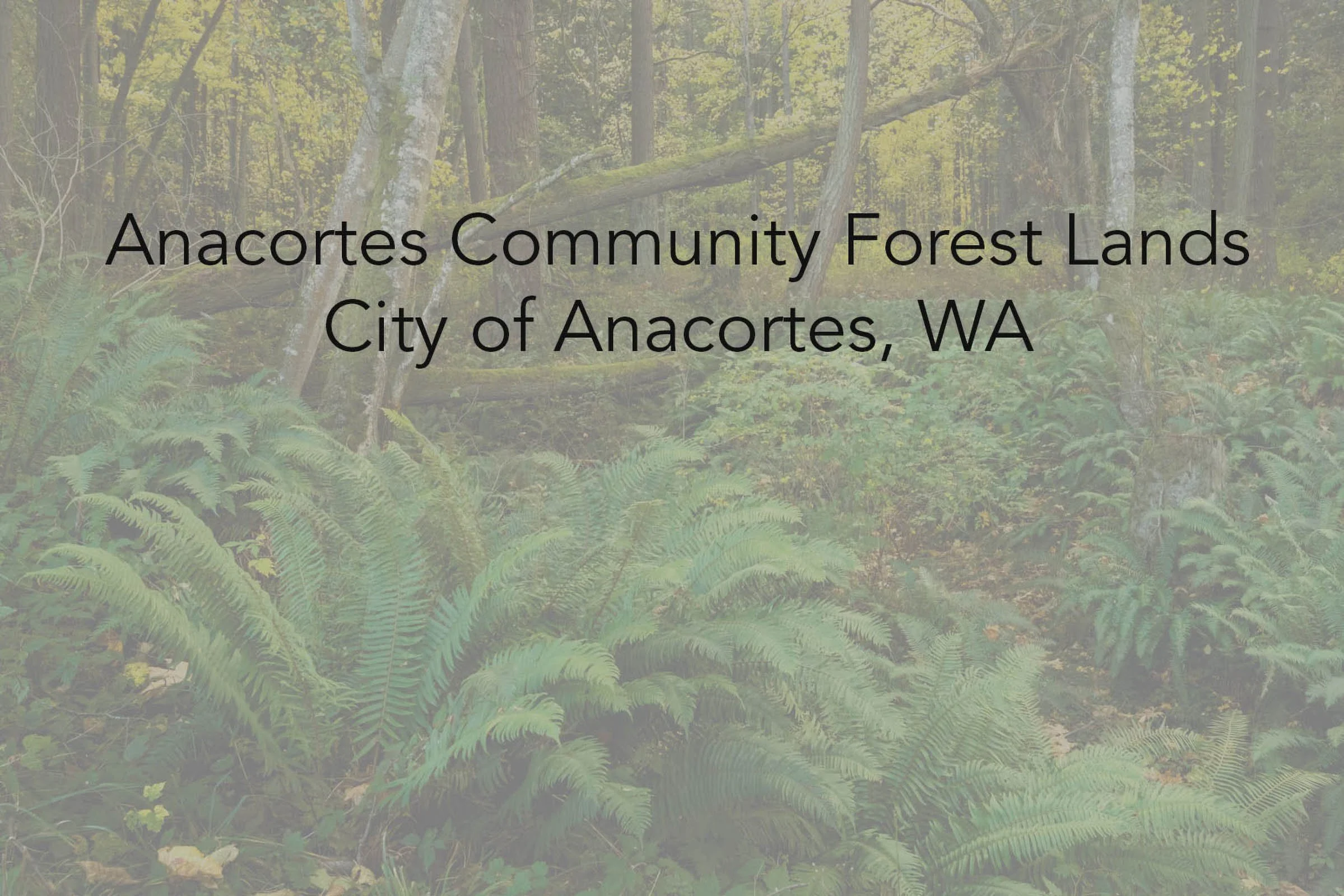 LegacyForests_046.jpg