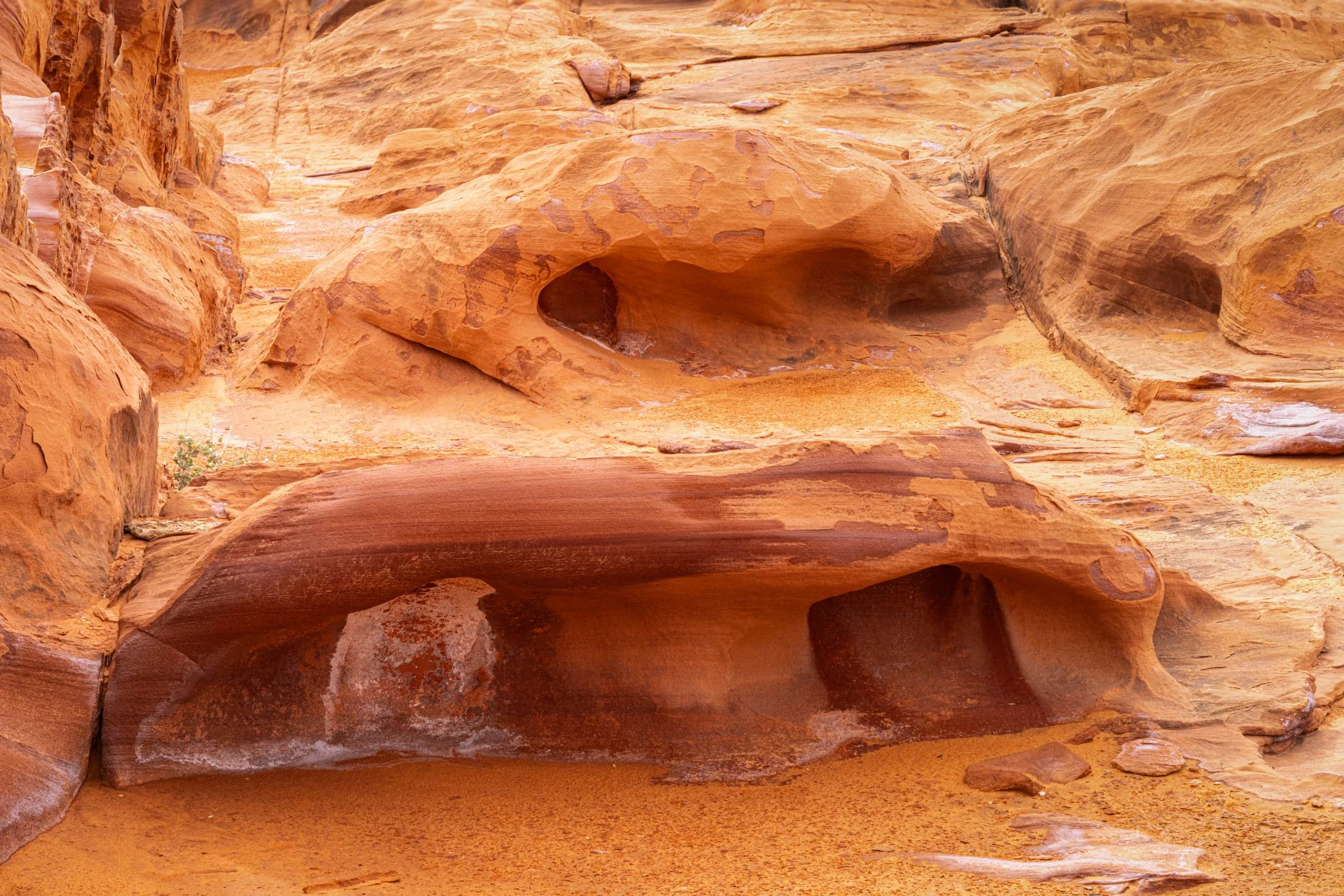 GoldButte_014.jpg