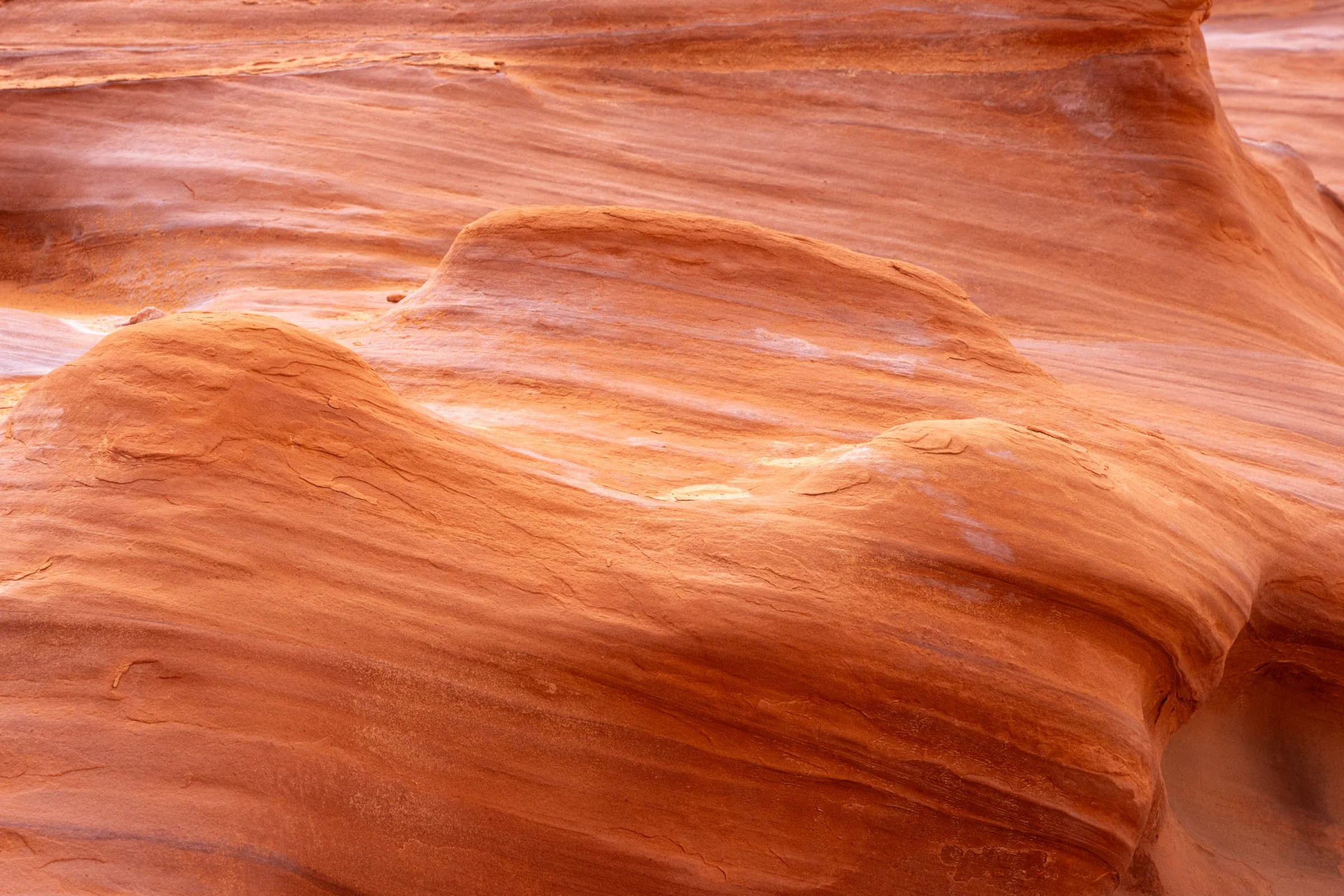 GoldButte_020.jpg