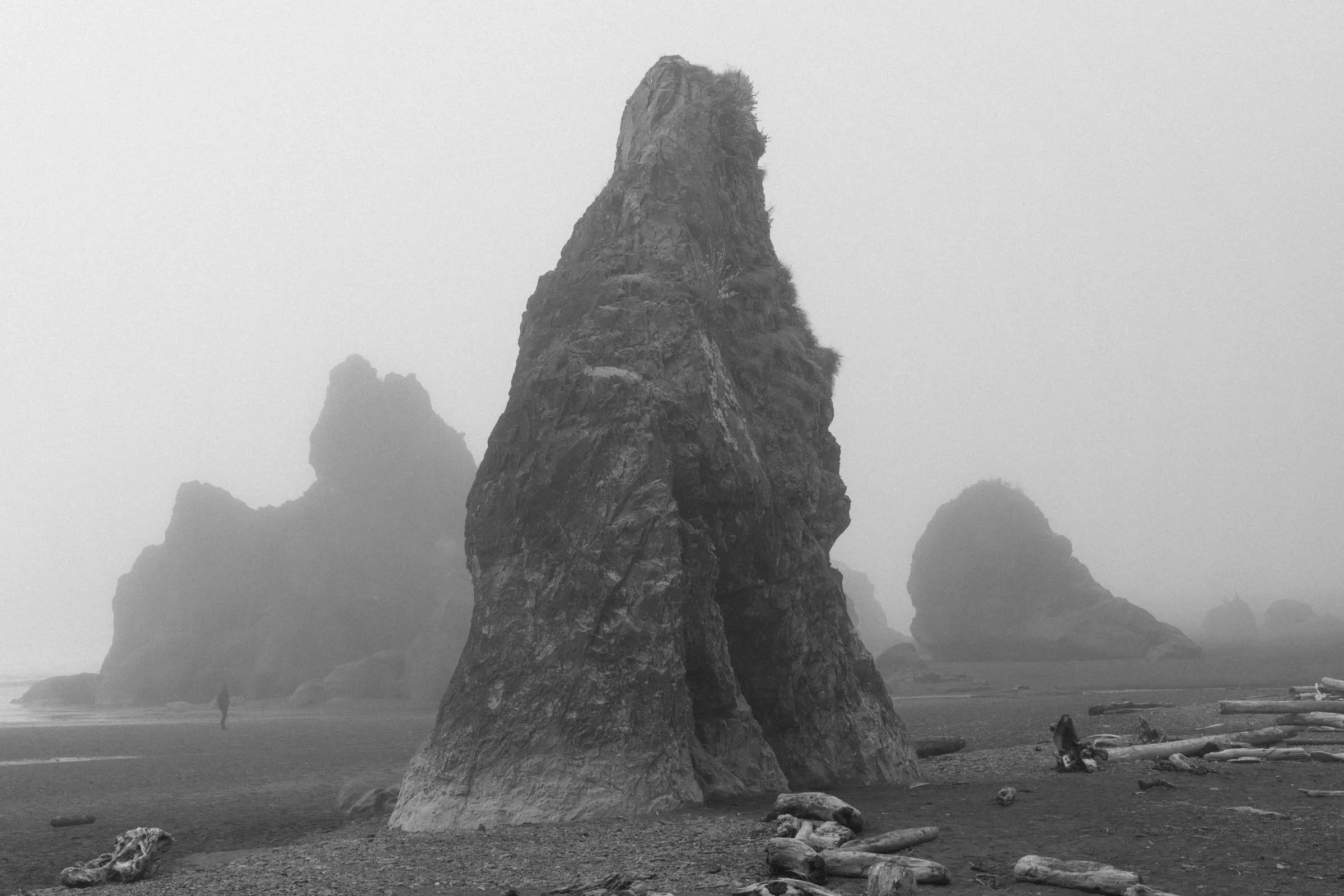 RubyBeachFOG_003.jpg