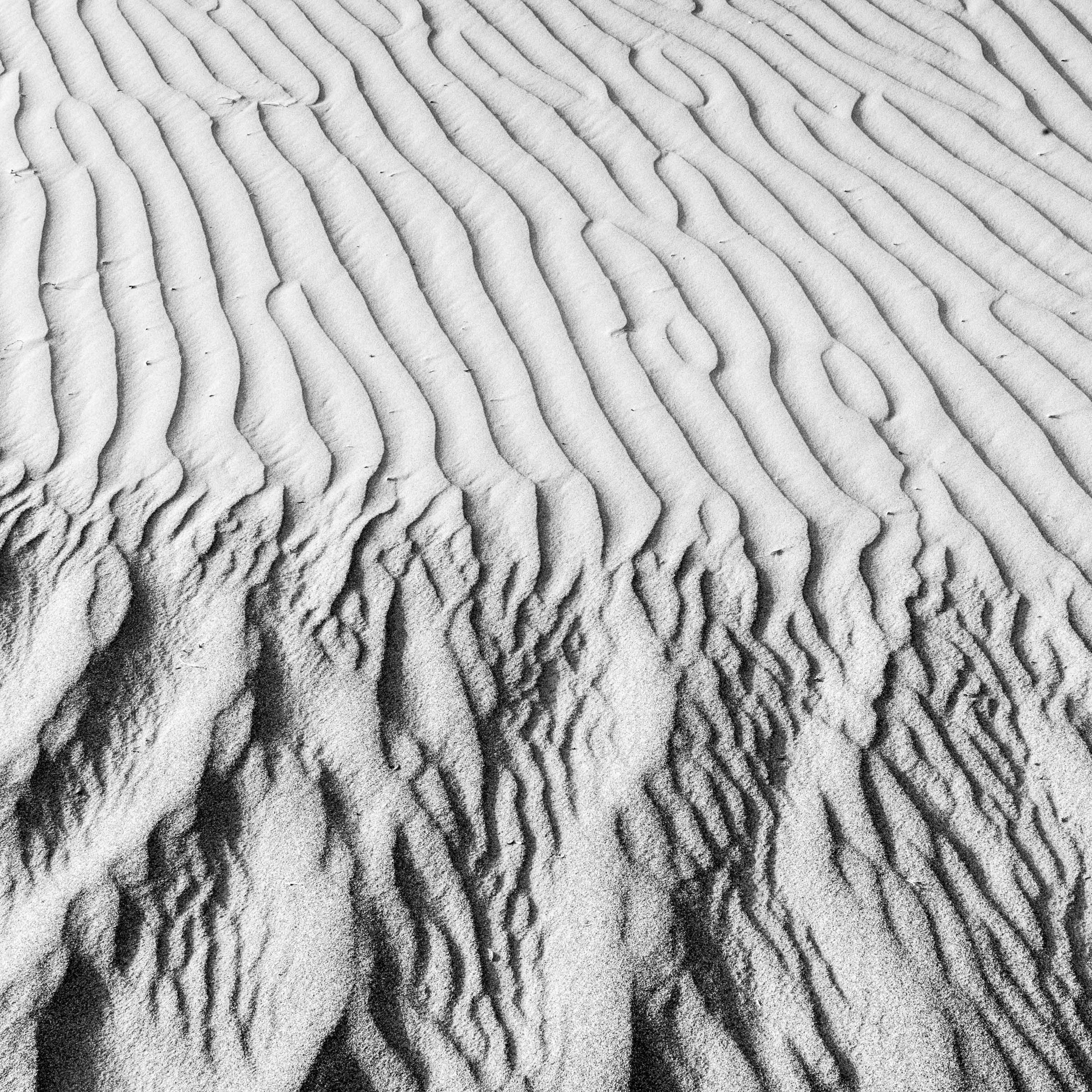 Dunes_002.jpg