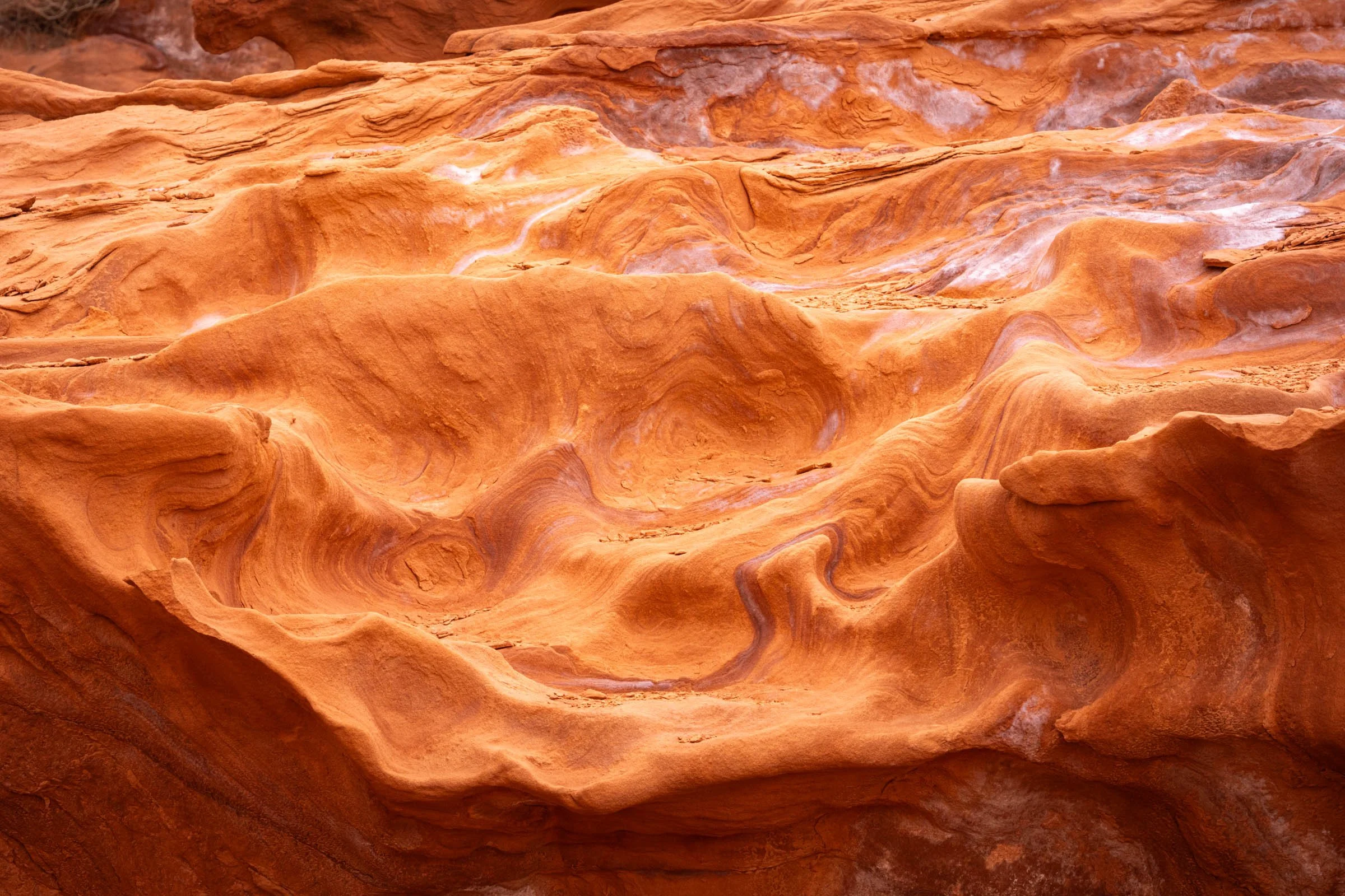 GoldButte_016.jpg